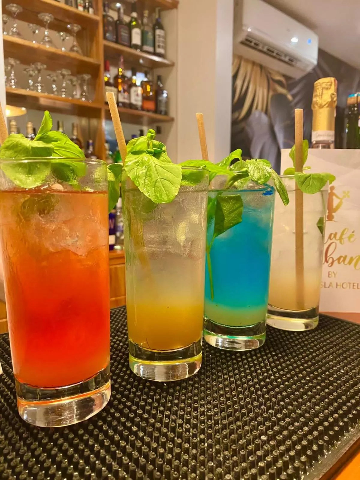 Lounge or bar in Hotel La Isla