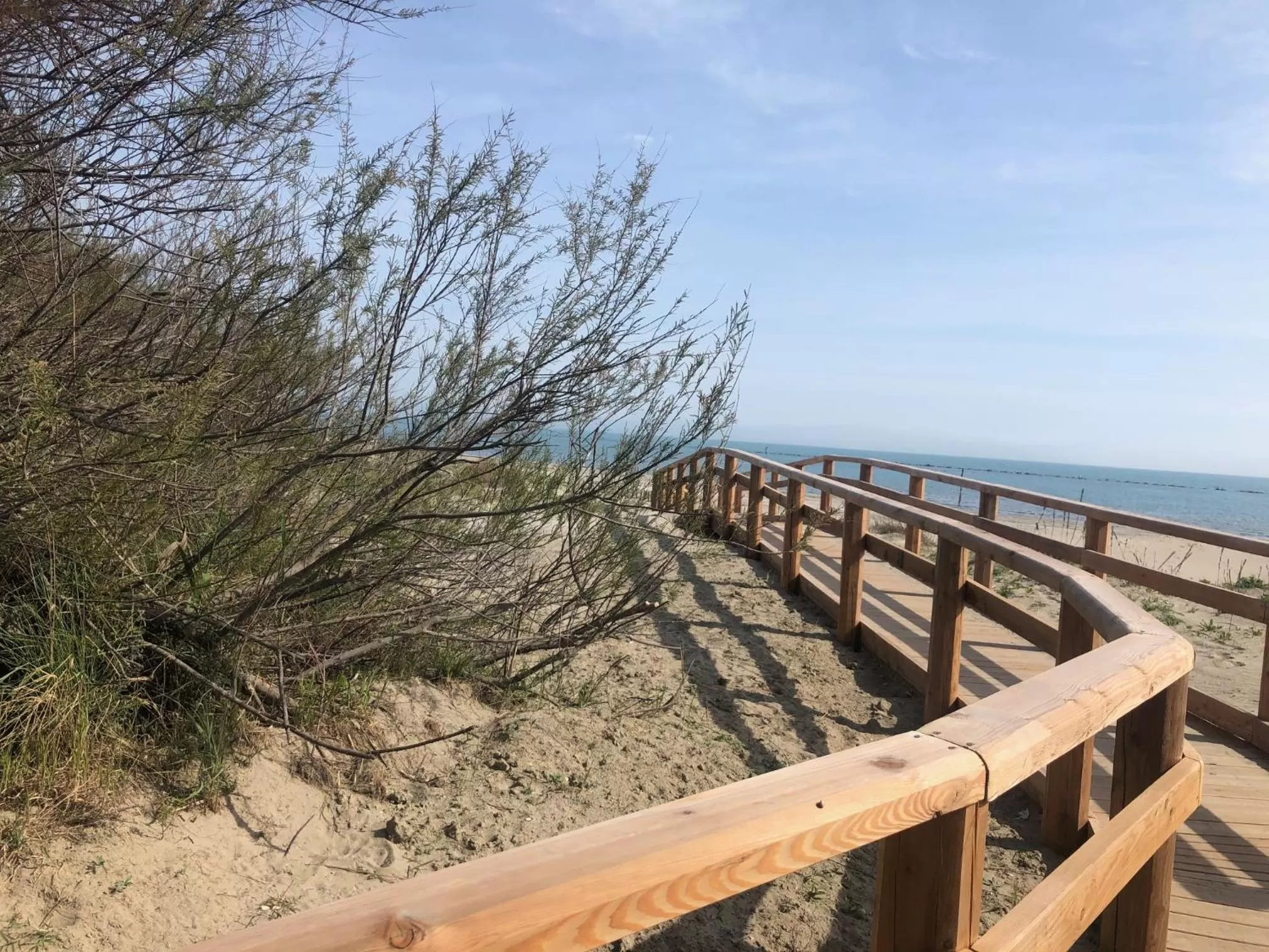 Natural landscape in Hotel-Residence- Le Dune Breakfast & private beach included