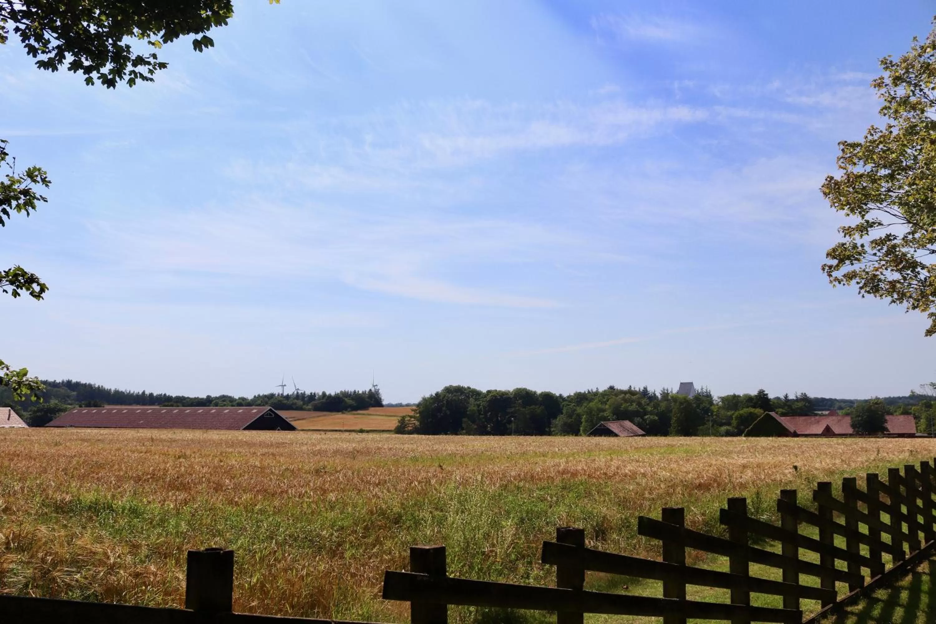 Hiking in Plexus Hytterne