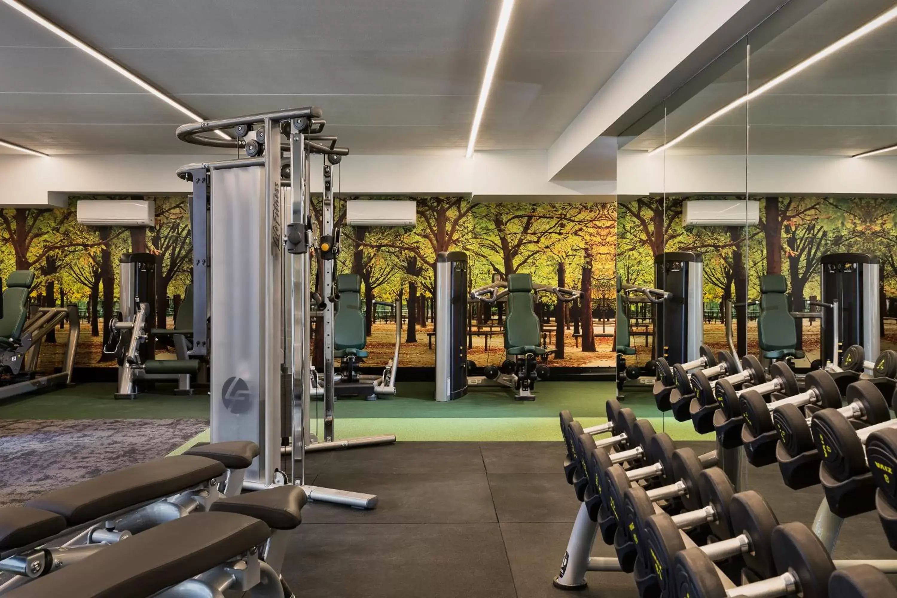 Fitness centre/facilities, Fitness Center/Facilities in Sofitel Wellington