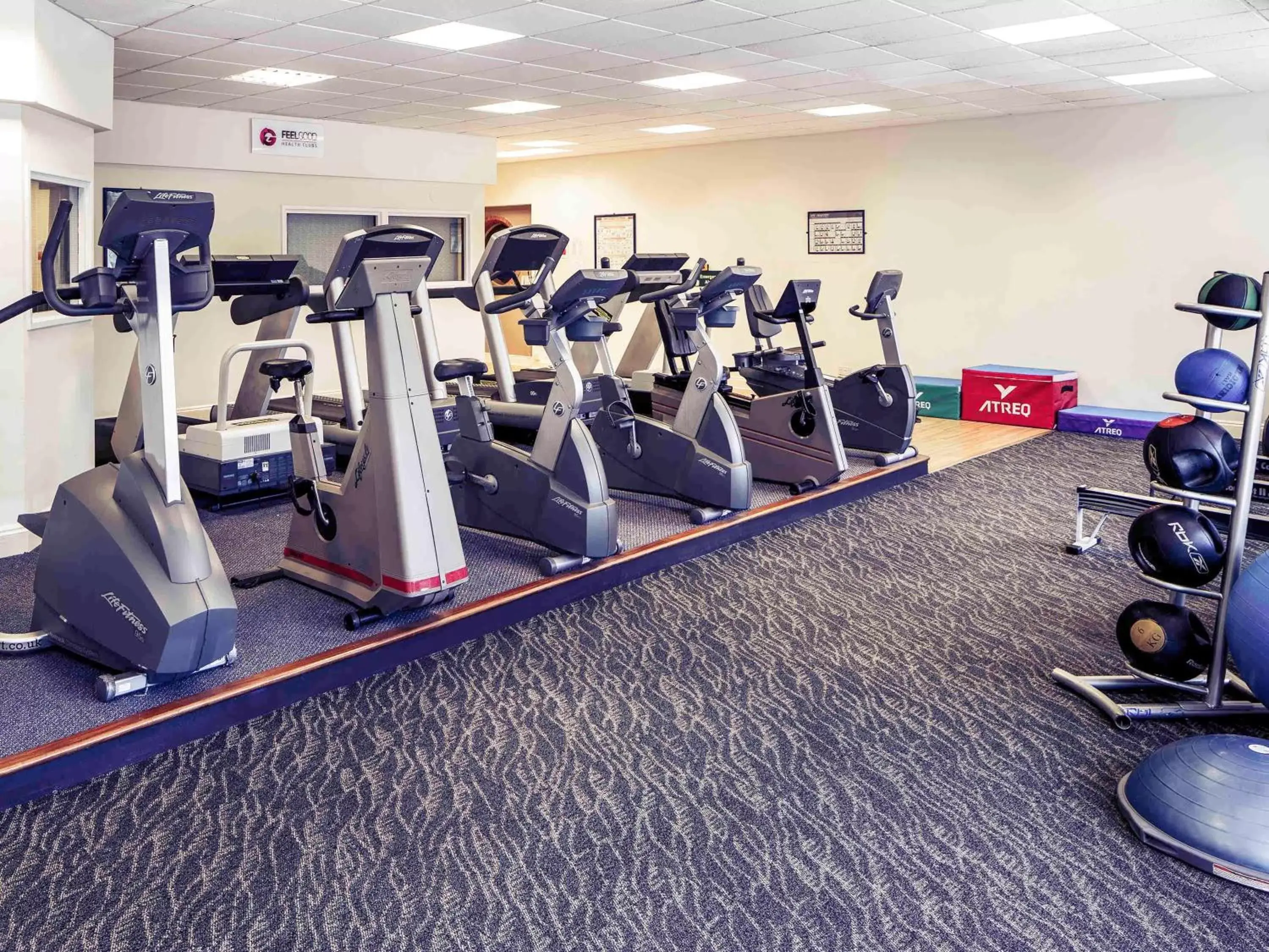 Fitness centre/facilities, Fitness Center/Facilities in Mercure Maidstone Great Danes Hotel
