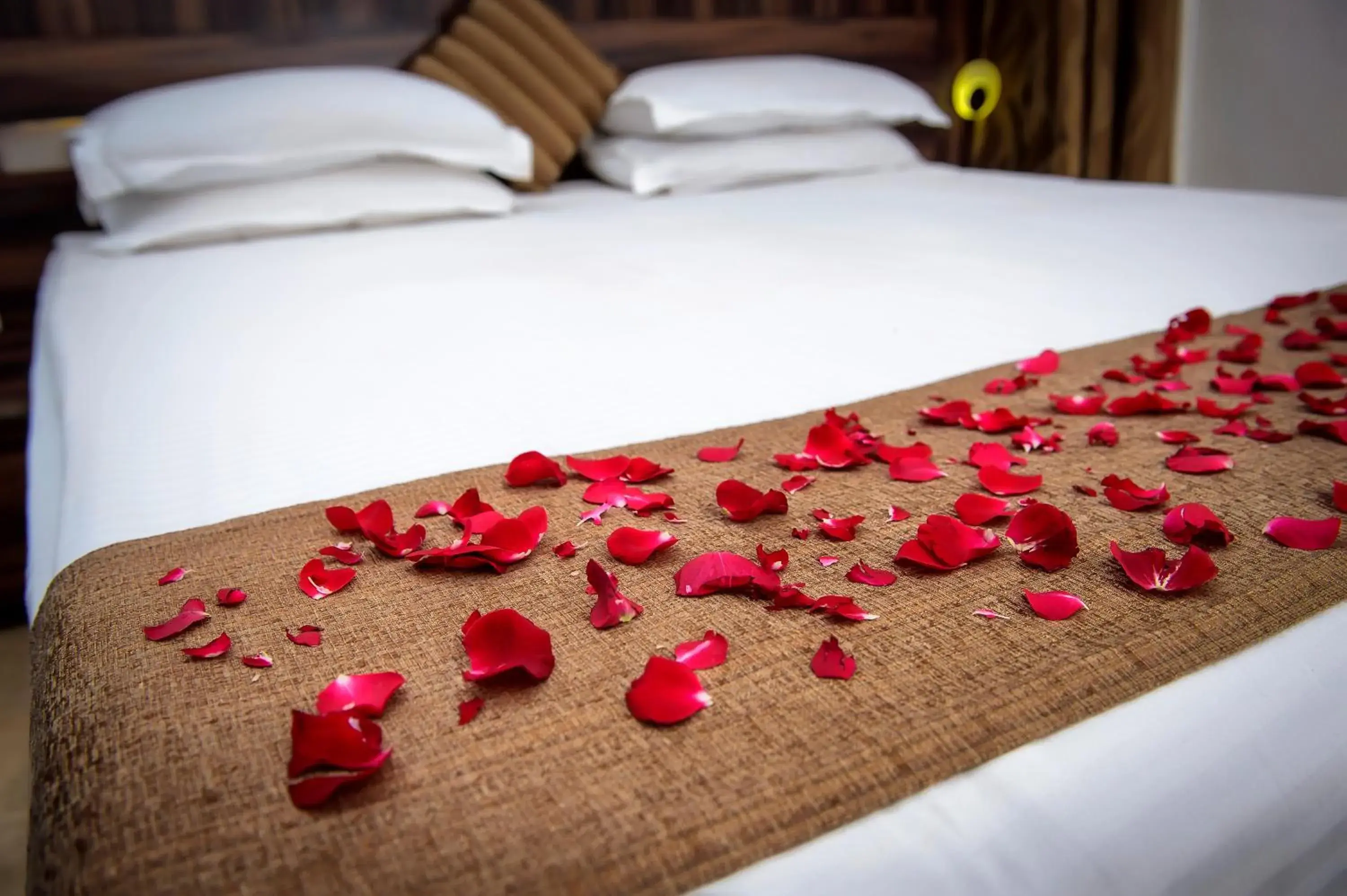 Bedroom, Bed in Adamo the Resort Bedroom, Bed in Adamo the Resort