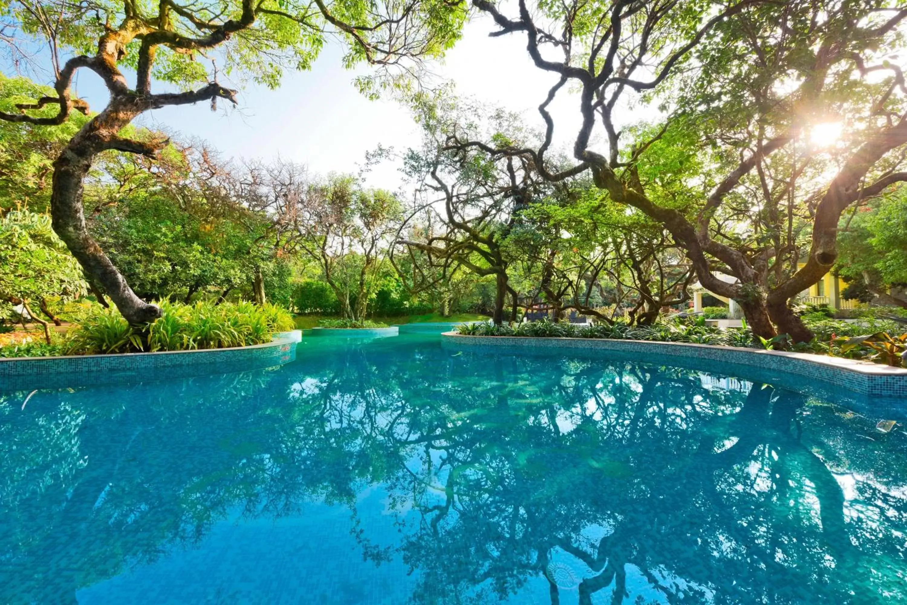 Swimming Pool in Le Meridien Mahabaleshwar Resort & Spa