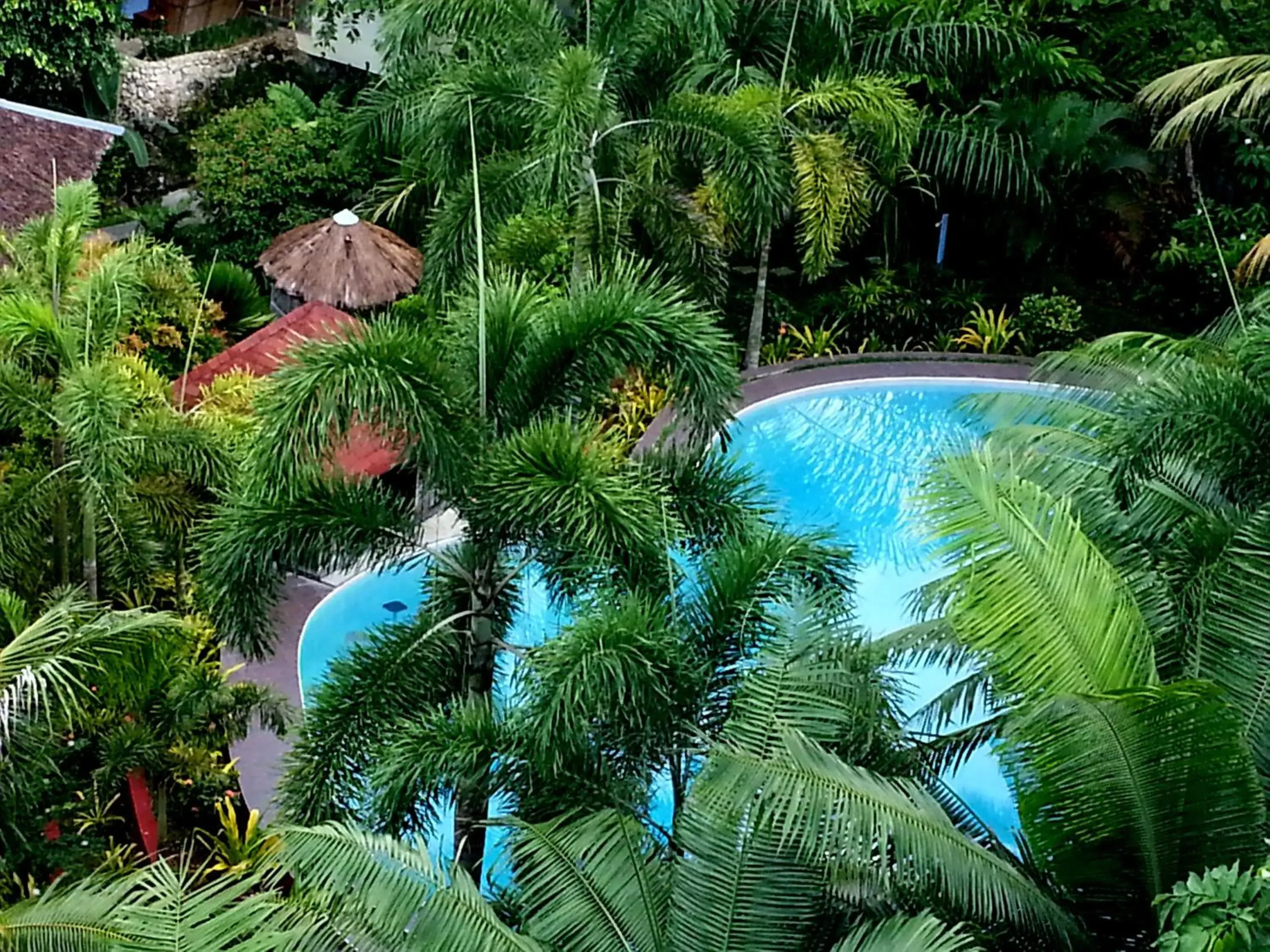 Day, Pool View in Hof Gorei Beach Resort Davao