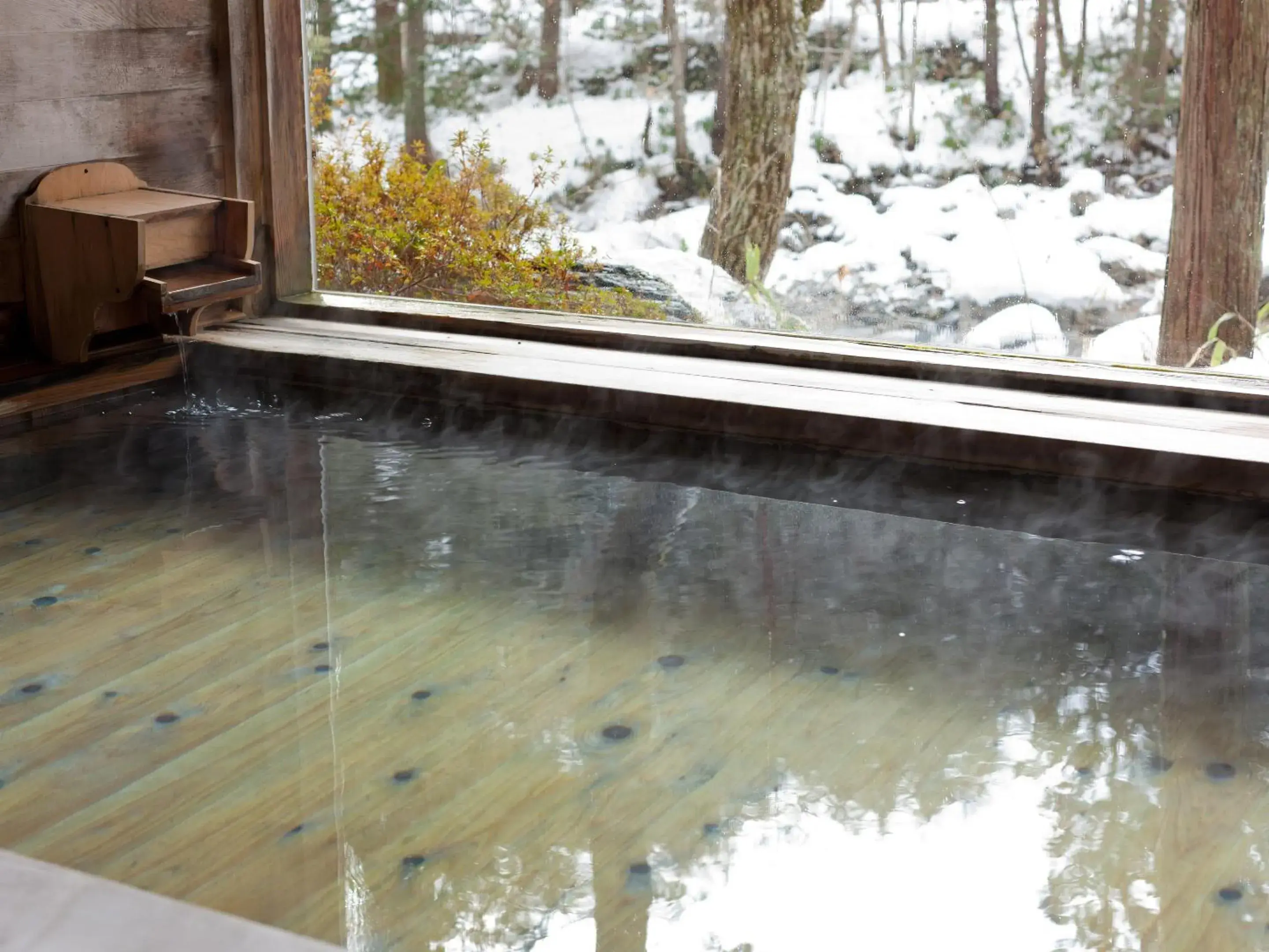 Hot Spring Bath in Wanosato Ryokan