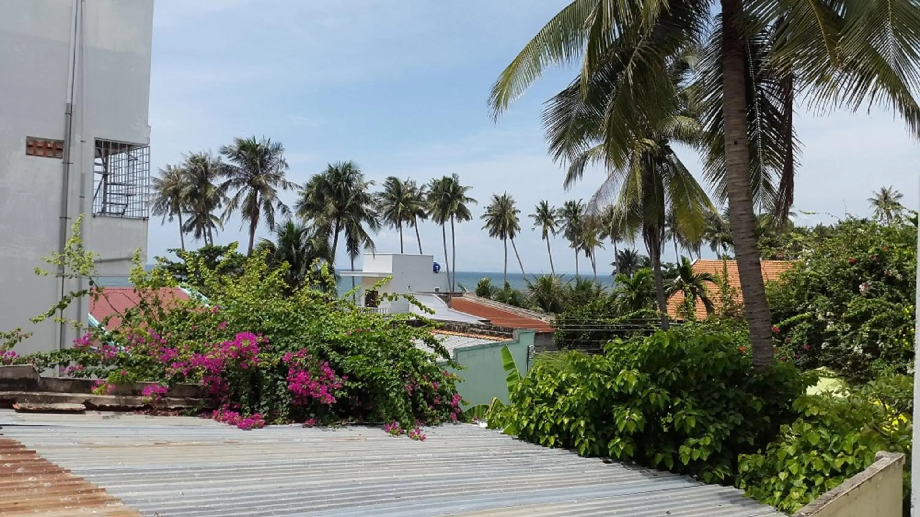 Natural landscape in Muine Sports Hotel