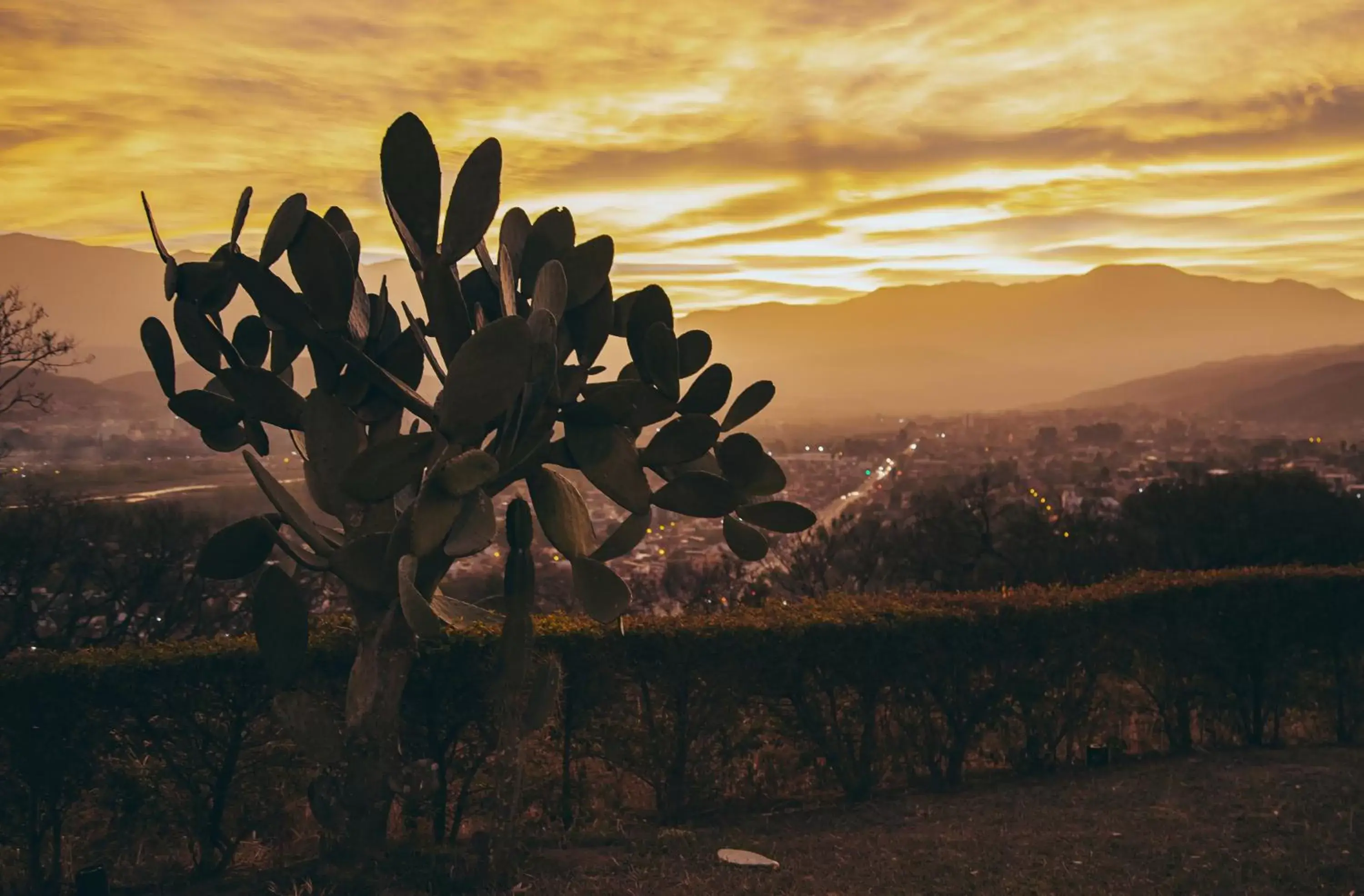 Sunrise/Sunset in Hotel Altos de la Viña