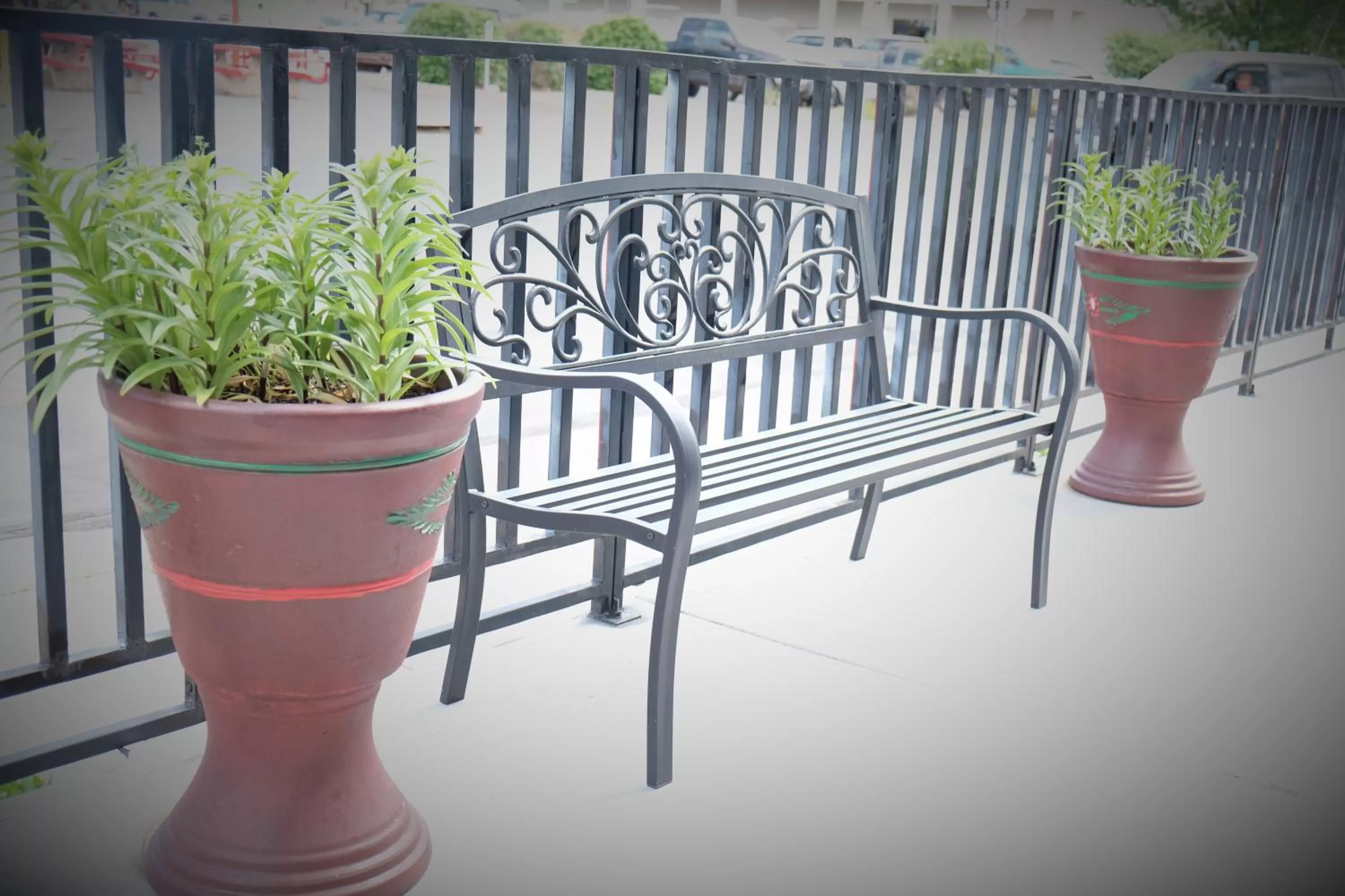 Day in Motel 6 Williams AZ Downtown Grand Canyon