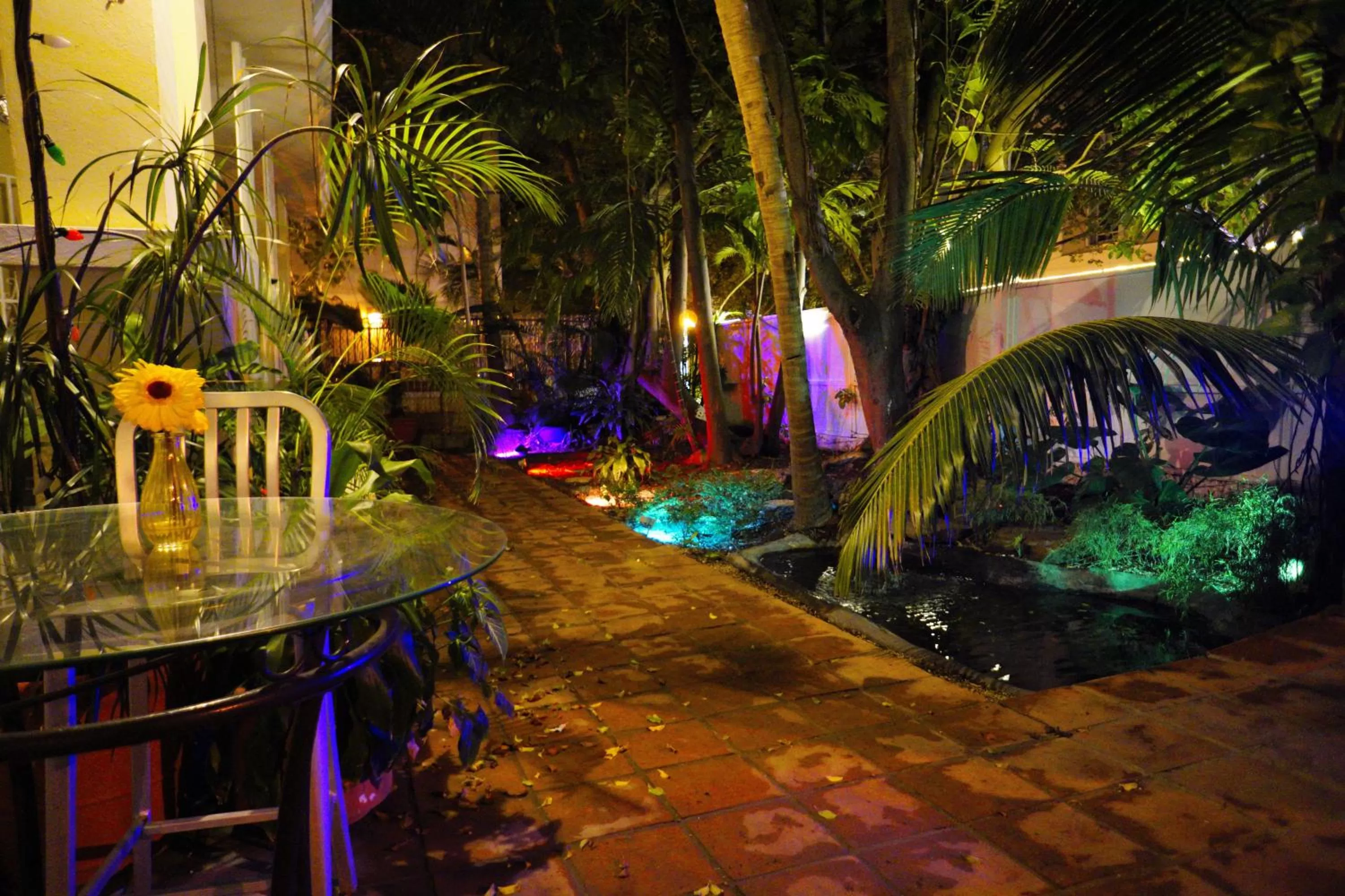 Patio in Casa del Caribe Inn