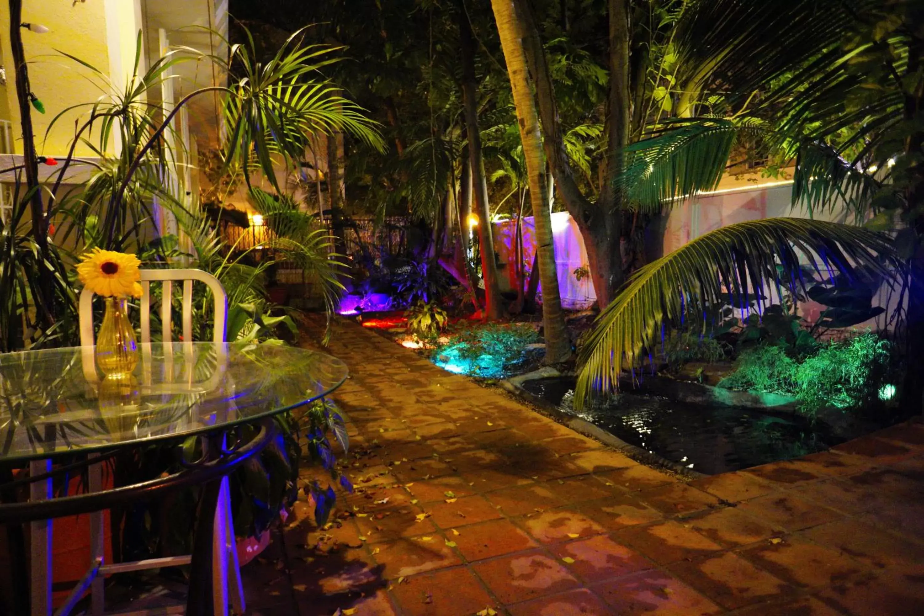 Patio, Patio/Outdoor Area in Casa del Caribe Inn
