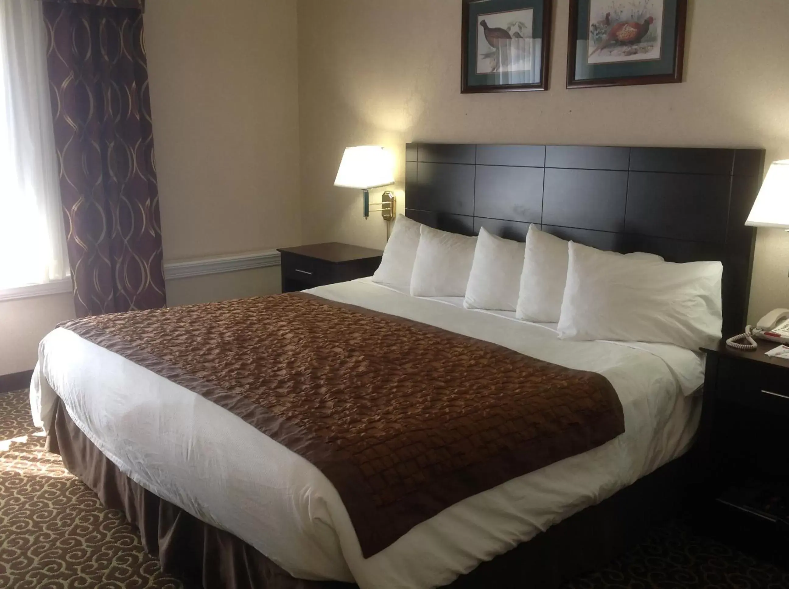 Bed in Hawthorn Extended Stay by Wyndham El Paso Bed in Hawthorn Extended Stay by Wyndham El Paso