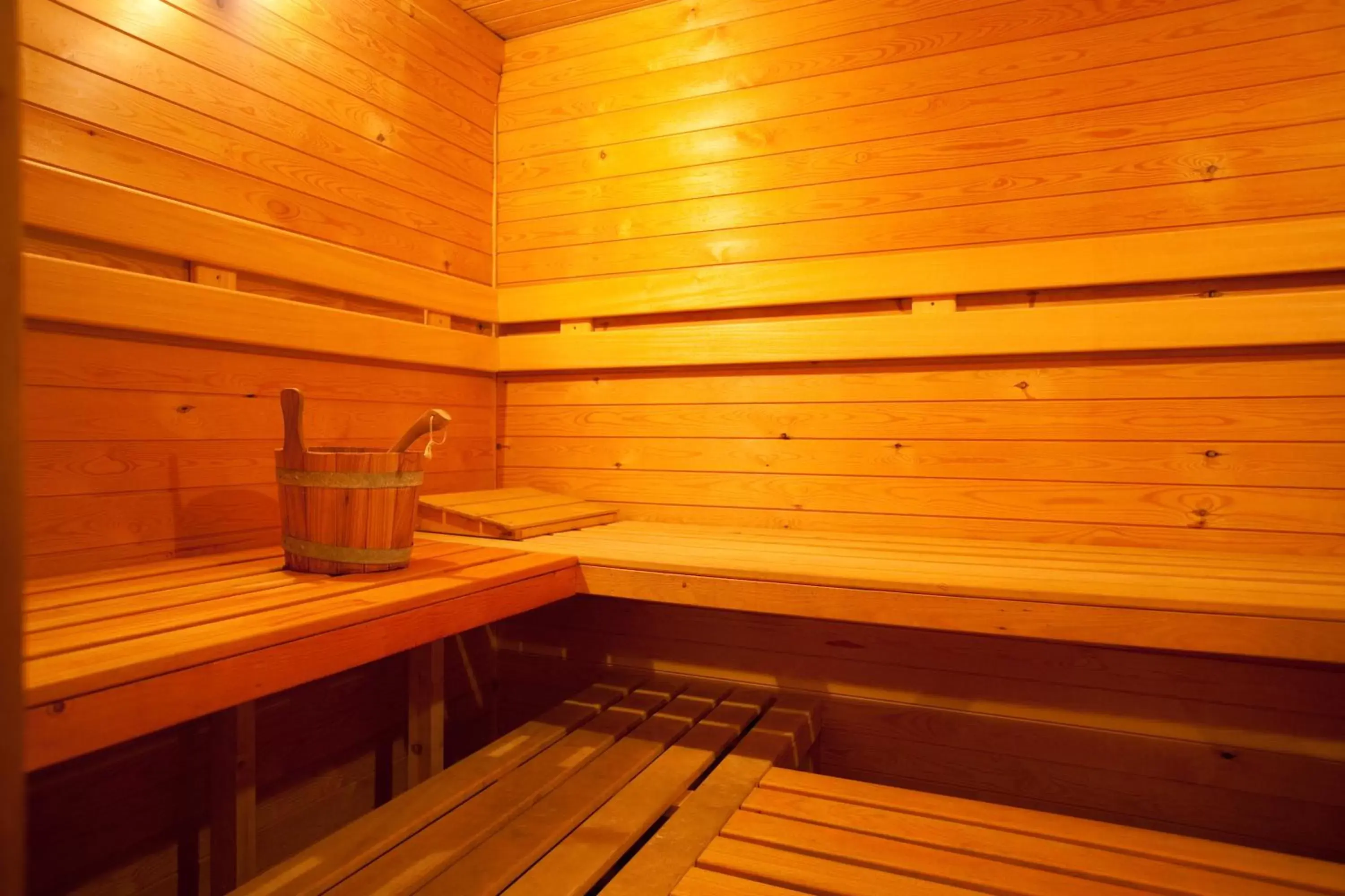 Sauna in Ghent River Hotel