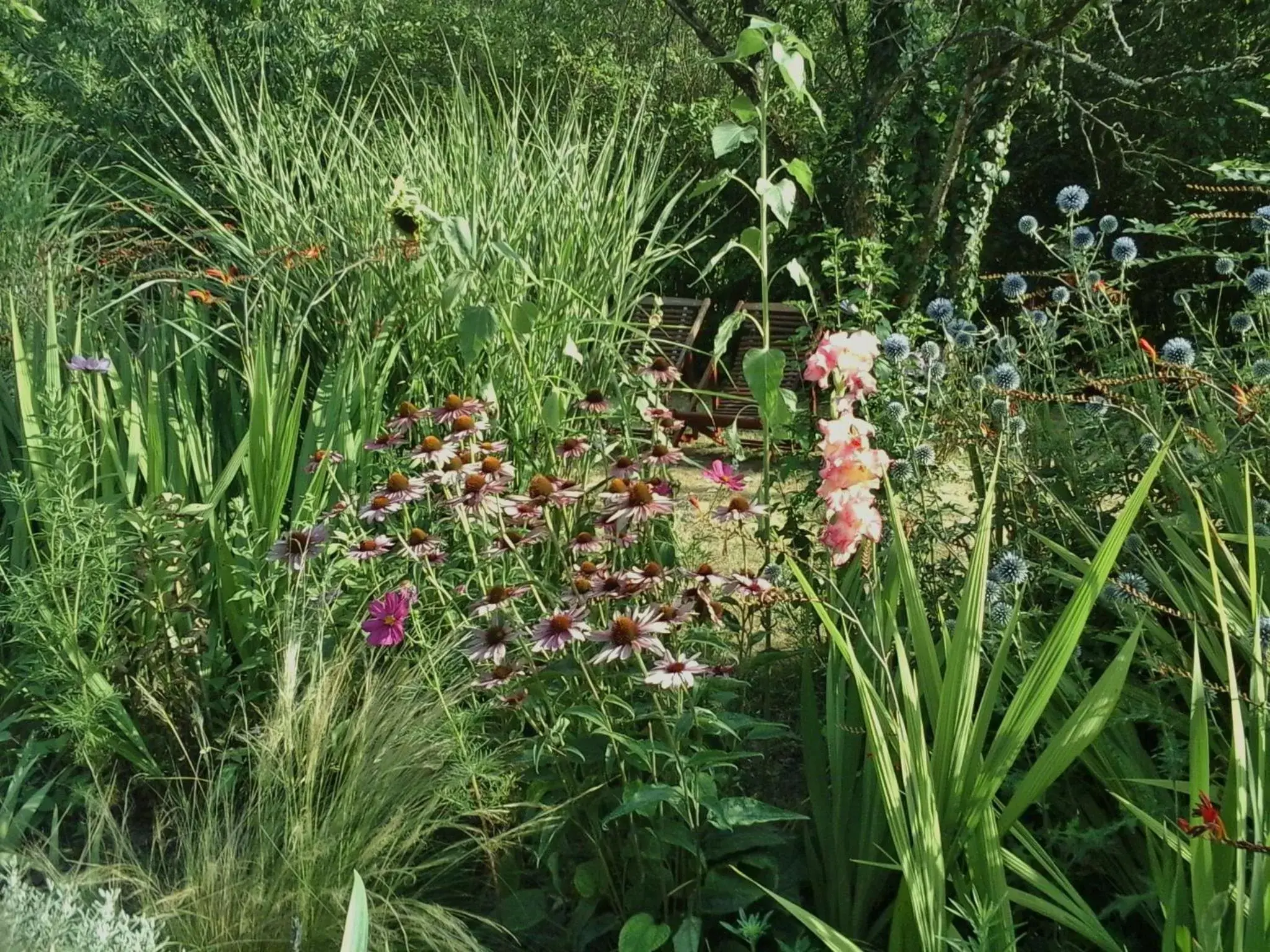 Garden in Troglodelice