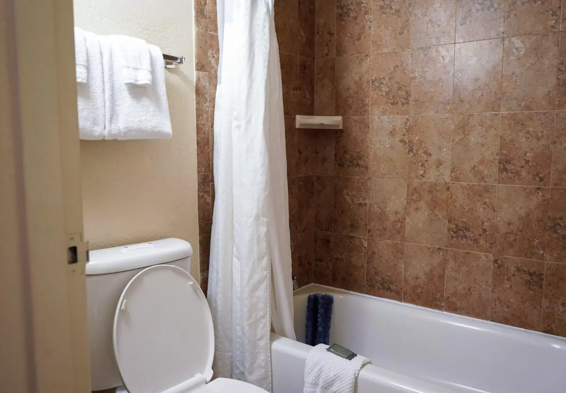 Shower, Bathroom in Rosen Inn International Near The Parks