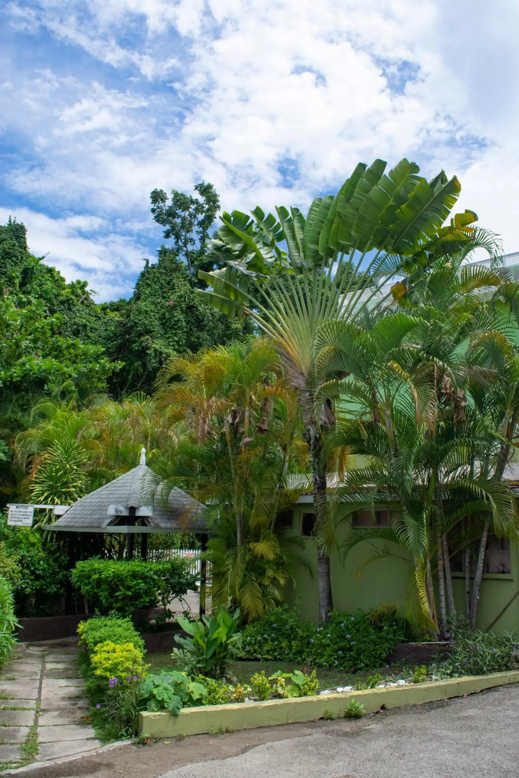 Natural landscape in Pineapple Court Hotel