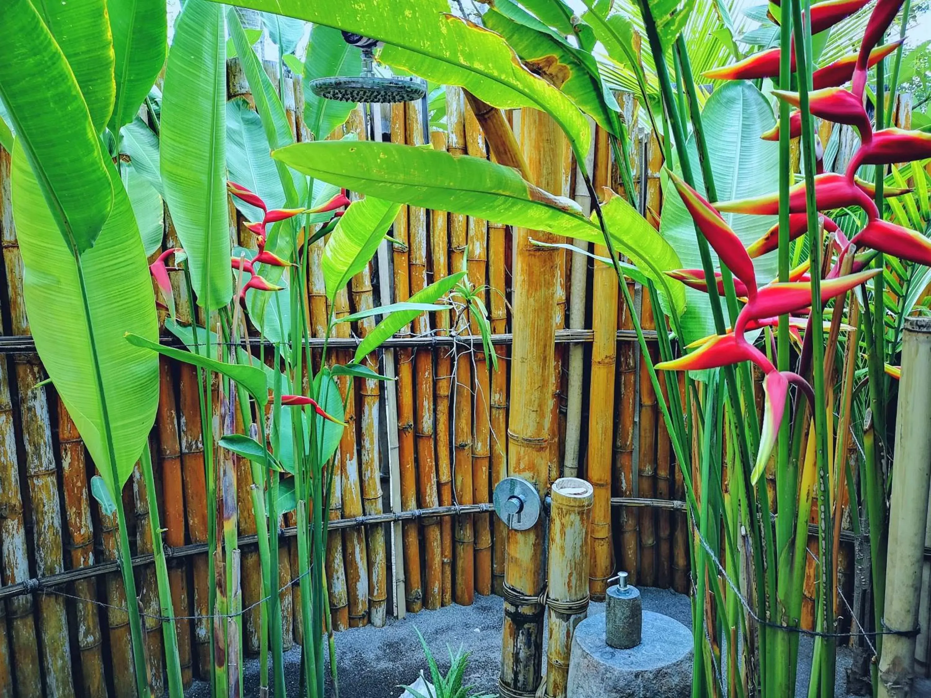 Shower in Coconut Garden Beach Resort