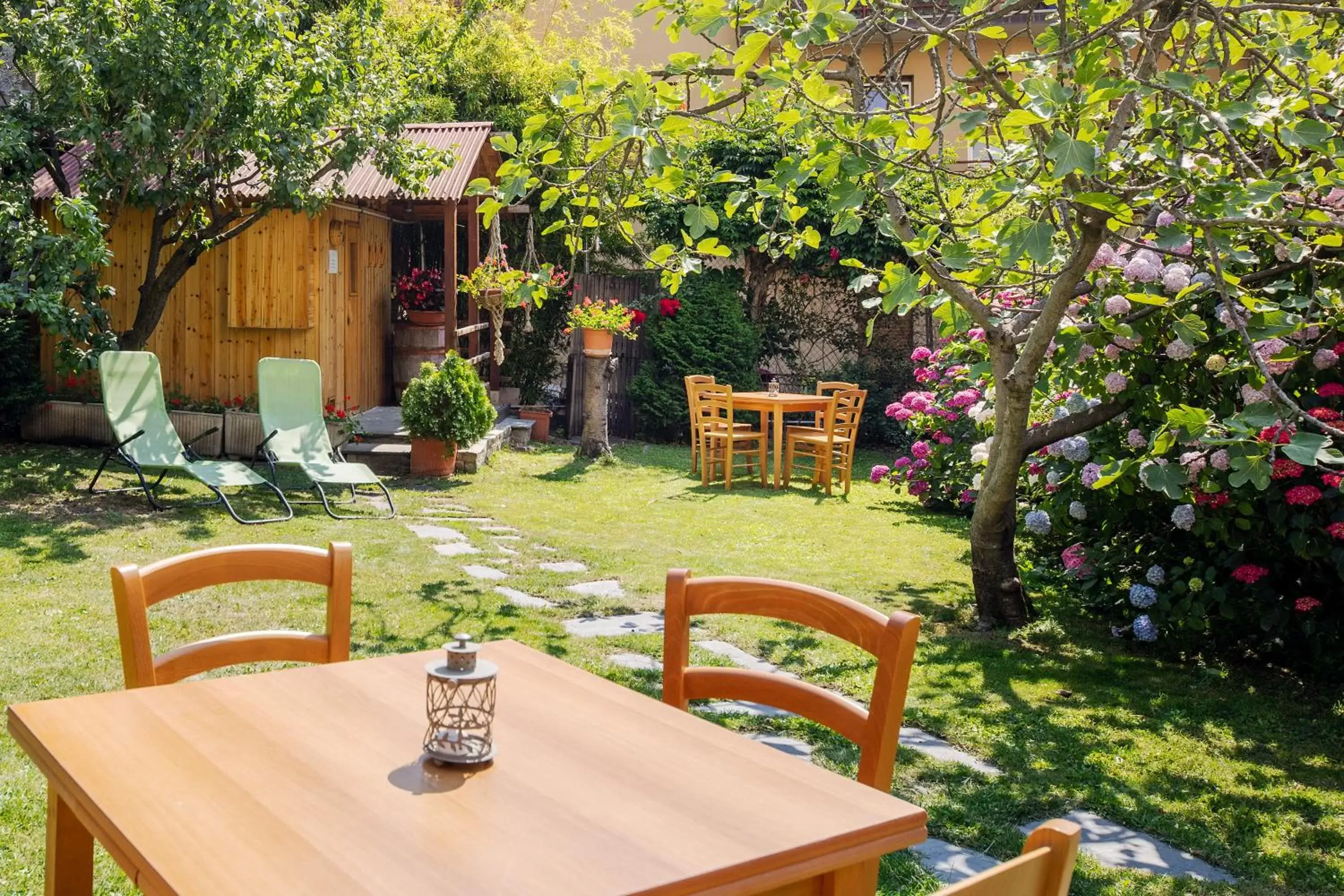 Patio in Hotel Elena