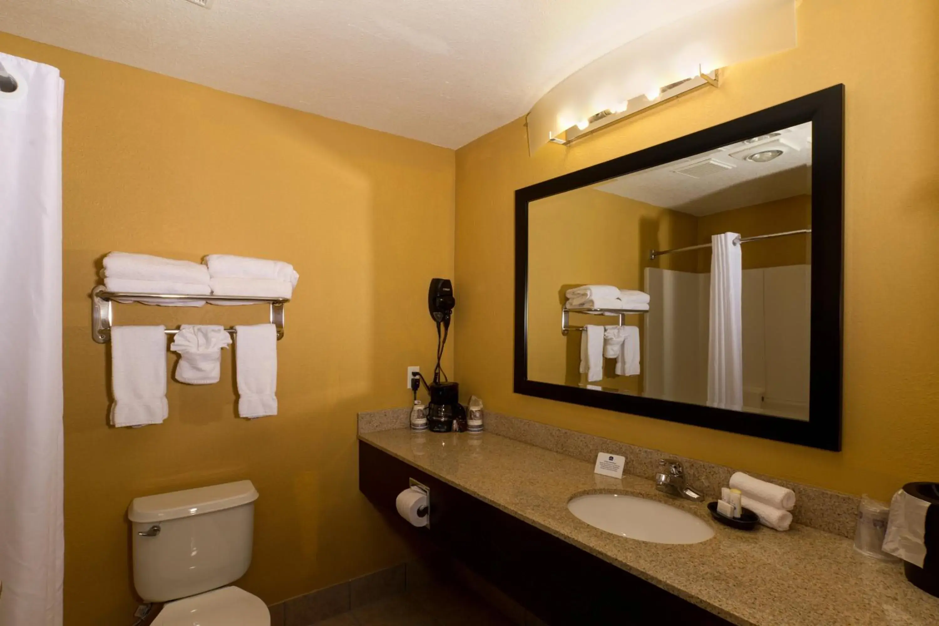 King Room with Roll-In Shower - Accessible/Non-Smoking in Quality Inn Plant City - Lakeland