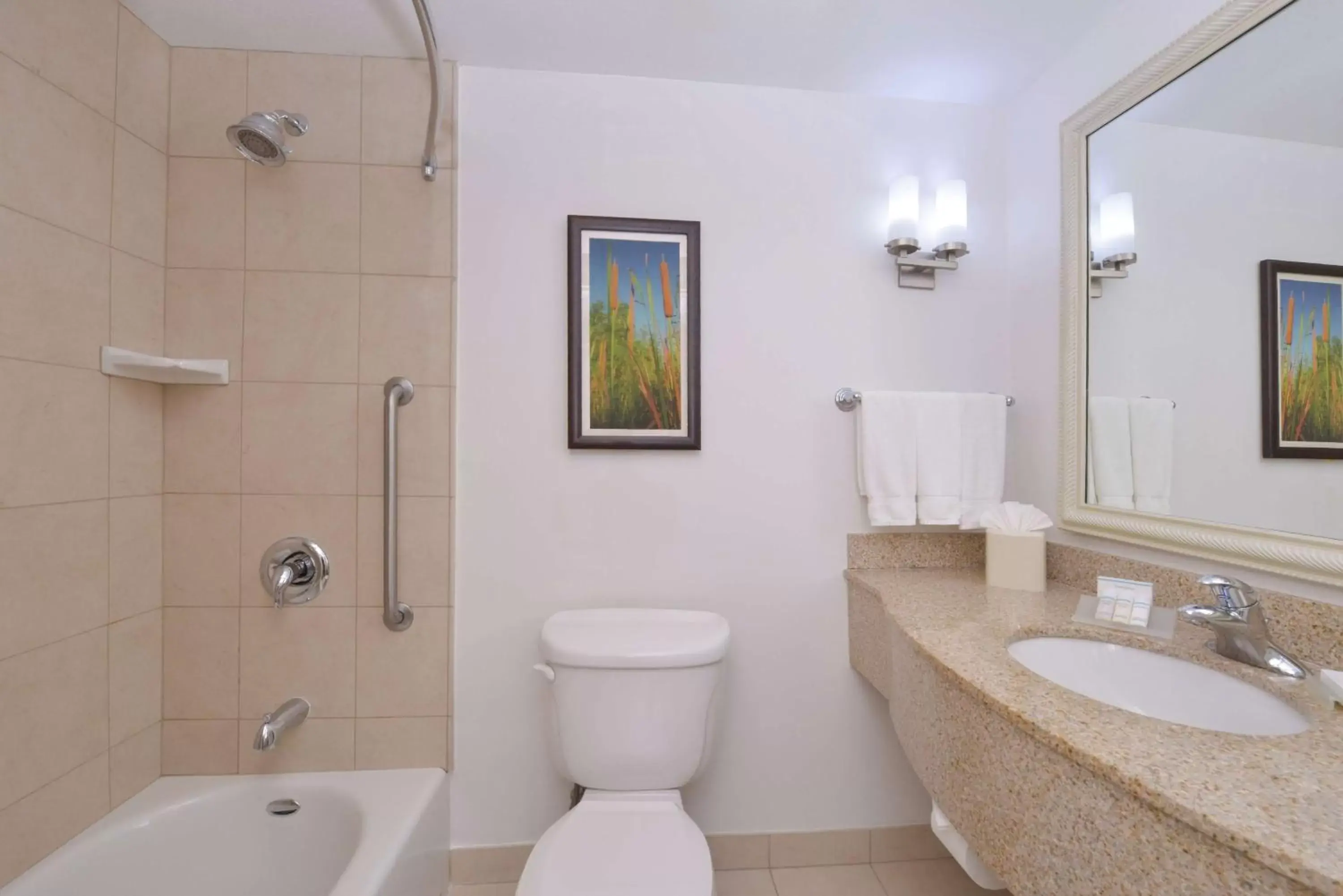 Bathroom in Hilton Garden Inn Yuma Pivot Point