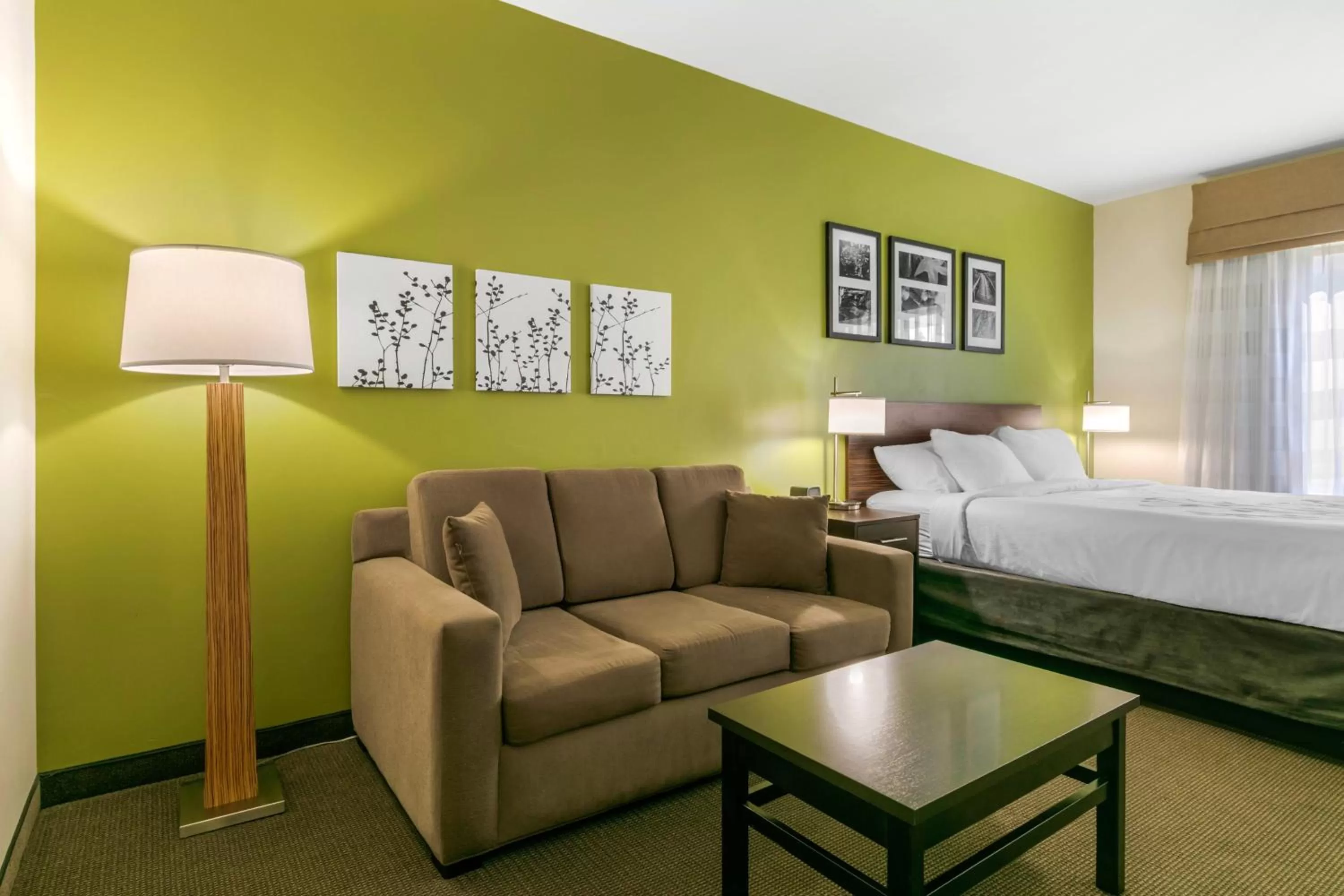 King Suite with Sofa Bed - Non-Smoking in Sleep Inn & Suites Columbia