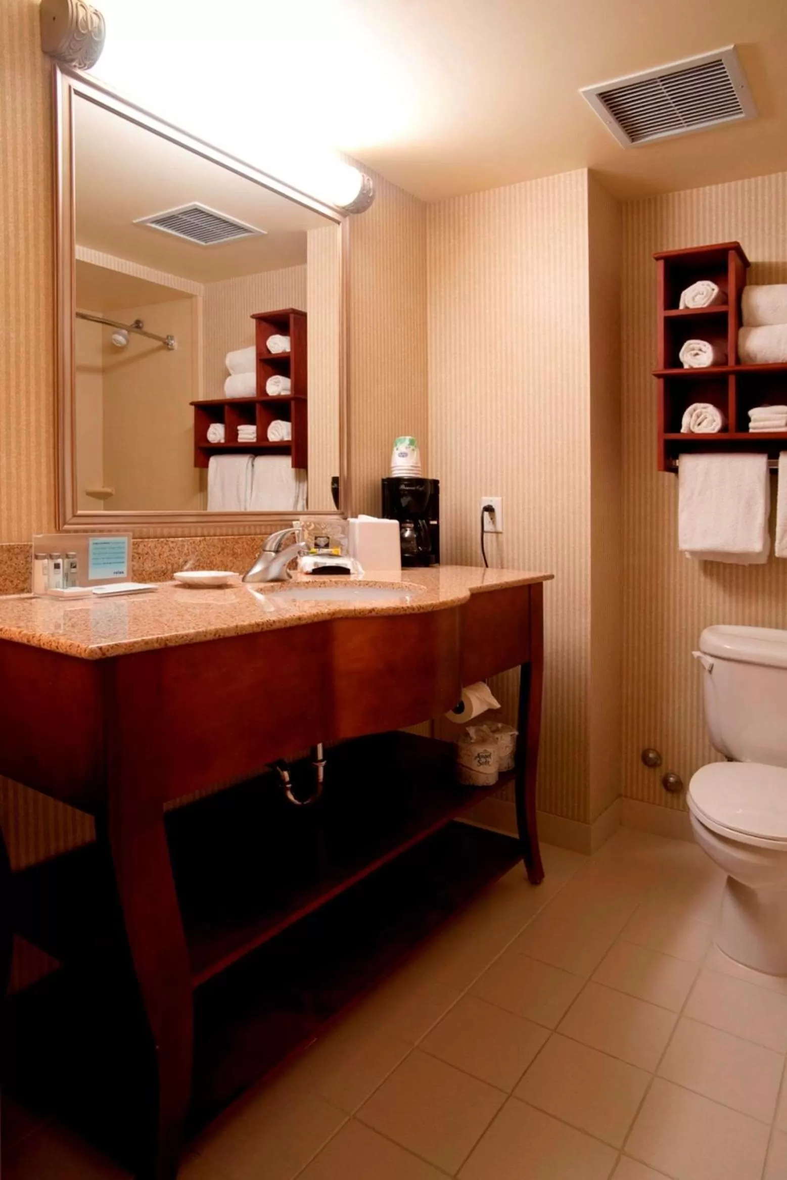 Bathroom in Hampton Inn Toronto-Mississauga West