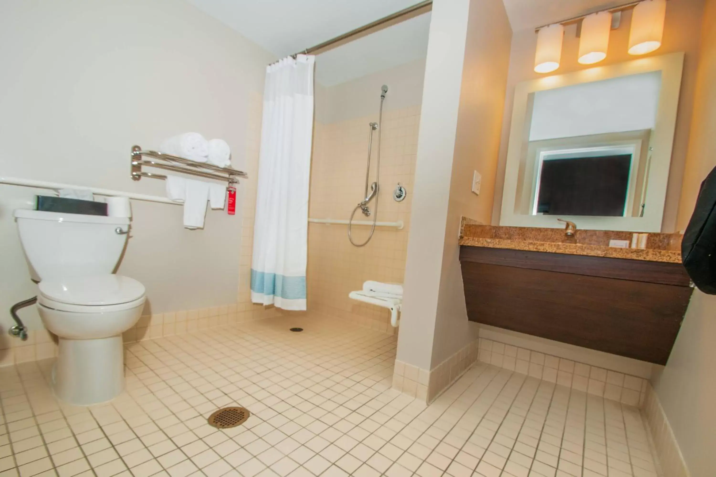 Bathroom in TownePlace Suites by Marriott Scranton Wilkes-Barre