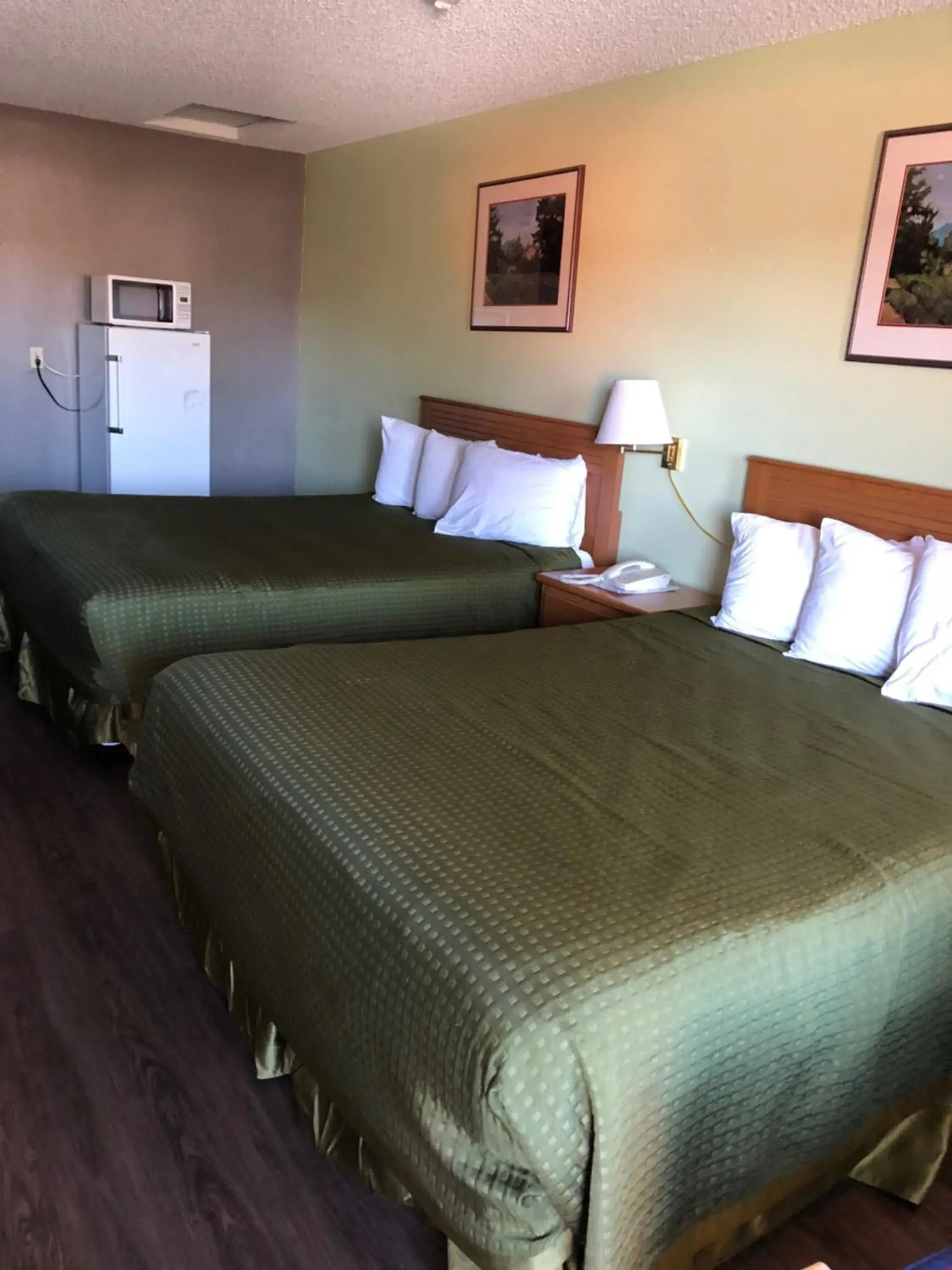 Photo of the whole room, Bed in Sumner Motor Inn
