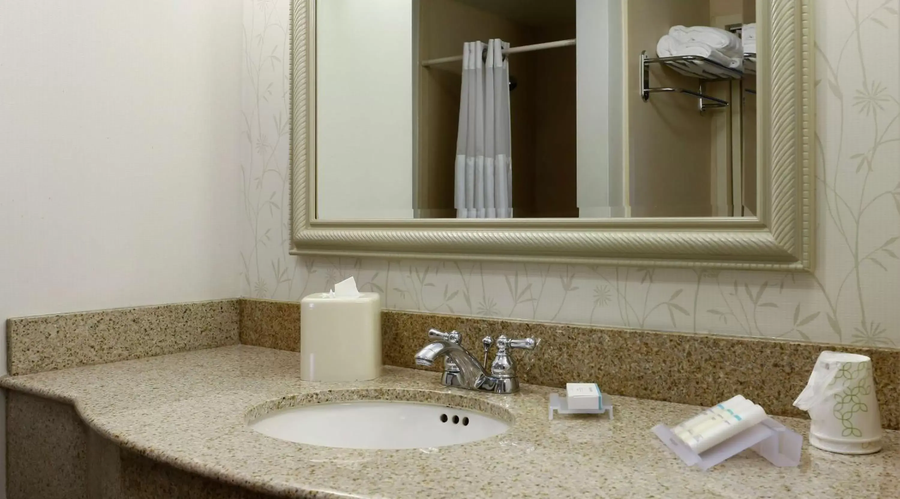 Bathroom in Hilton Garden Inn Secaucus/Meadowlands