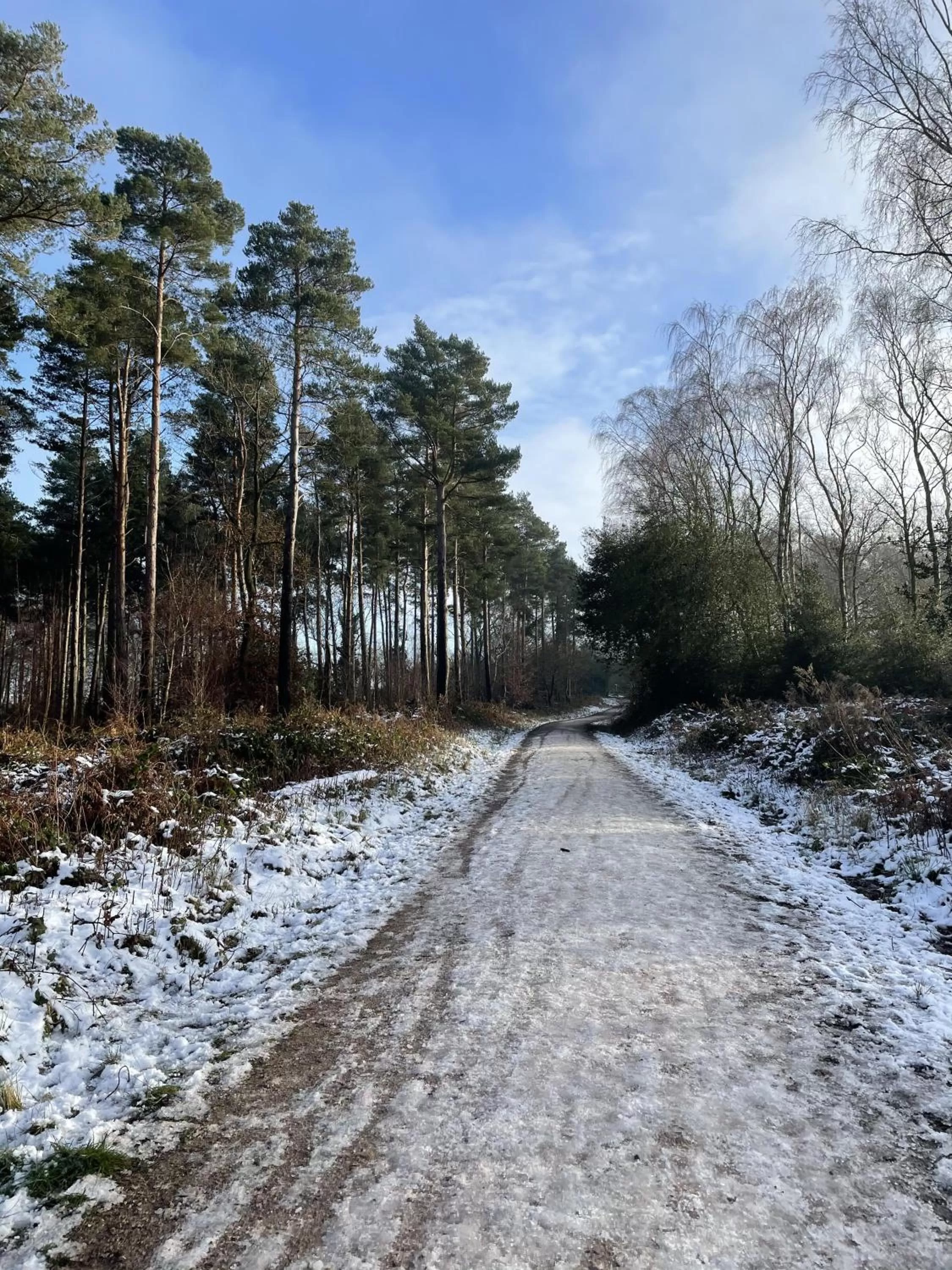 Neighbourhood in Harpur's of Melbourne