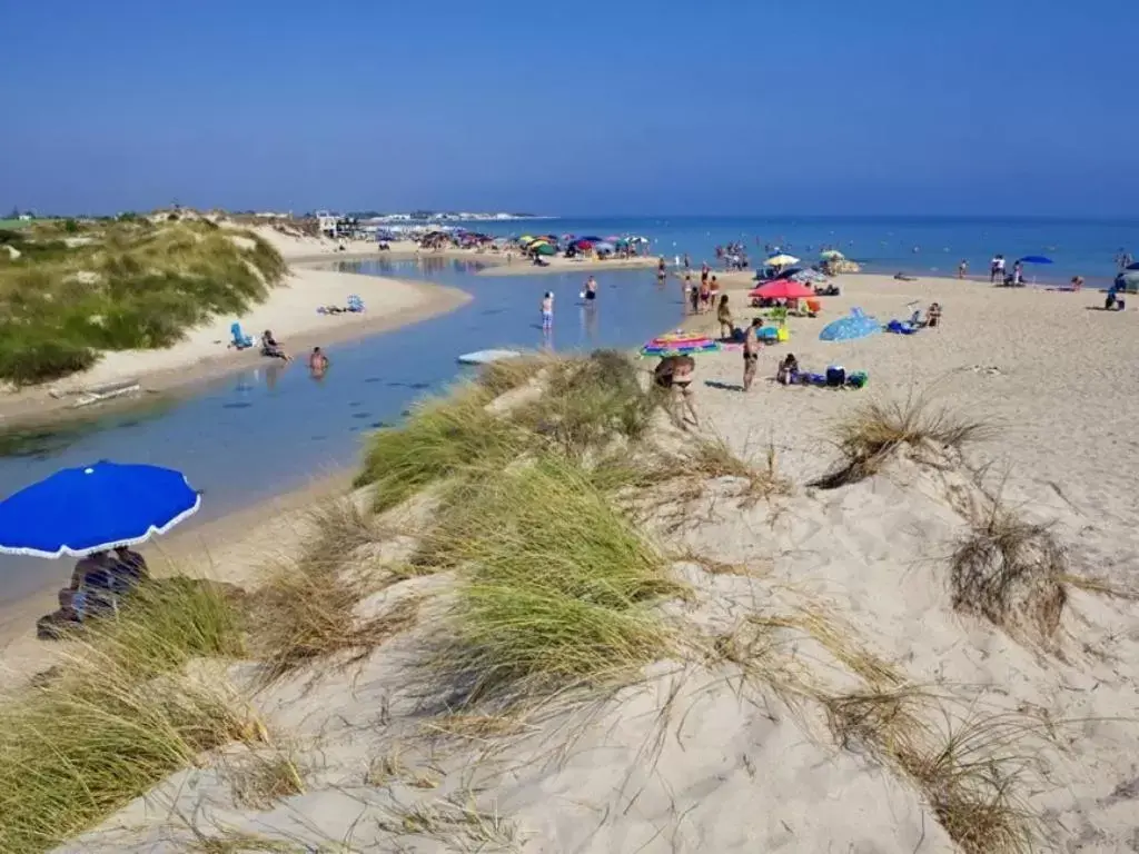 Beach in Residenza Del Sole