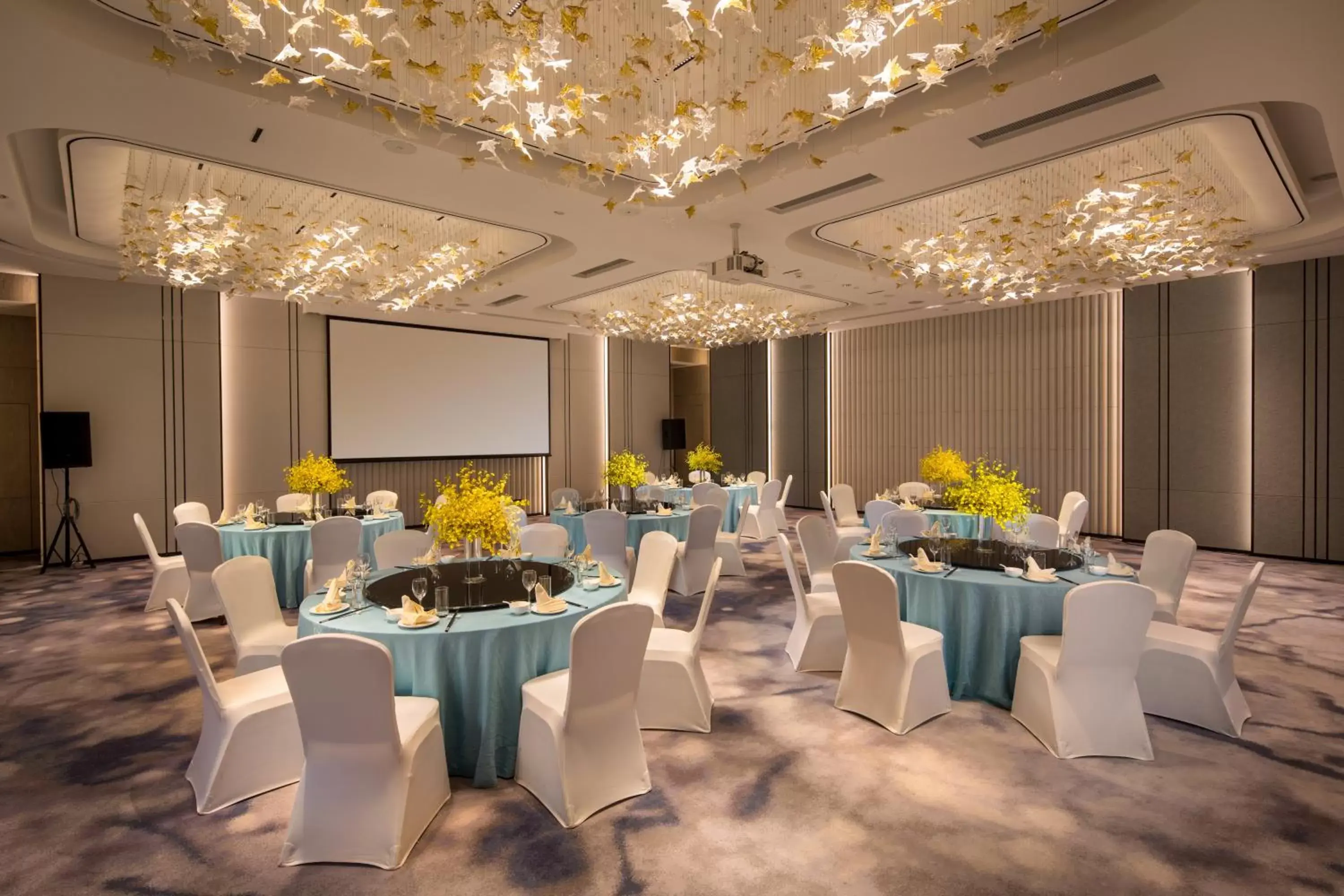 Banquet/Function facilities, Banquet Facilities in Holiday Inn - Nanjing South Station, an IHG Hotel