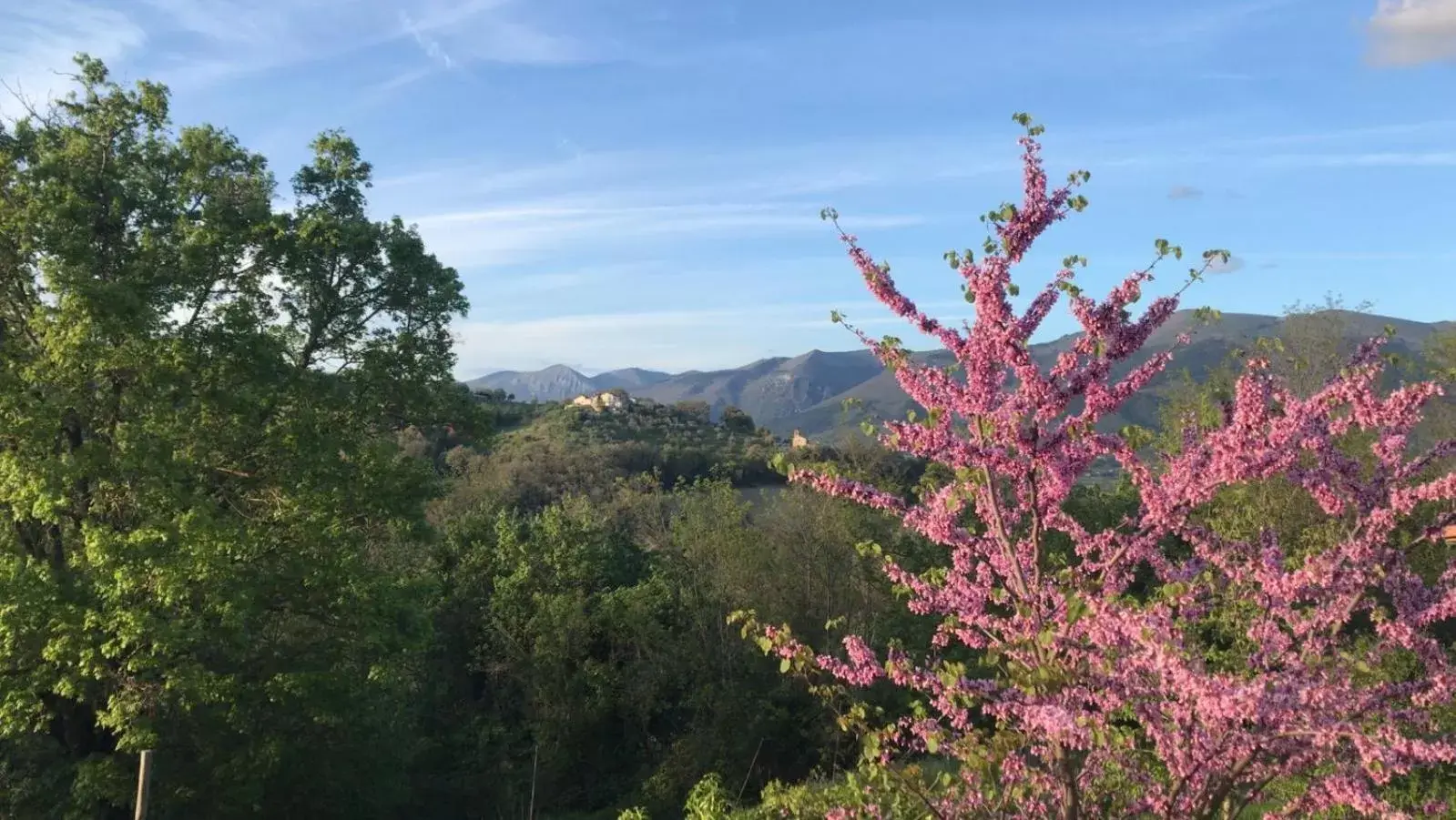 Natural landscape in Borgo Castello Panicaglia