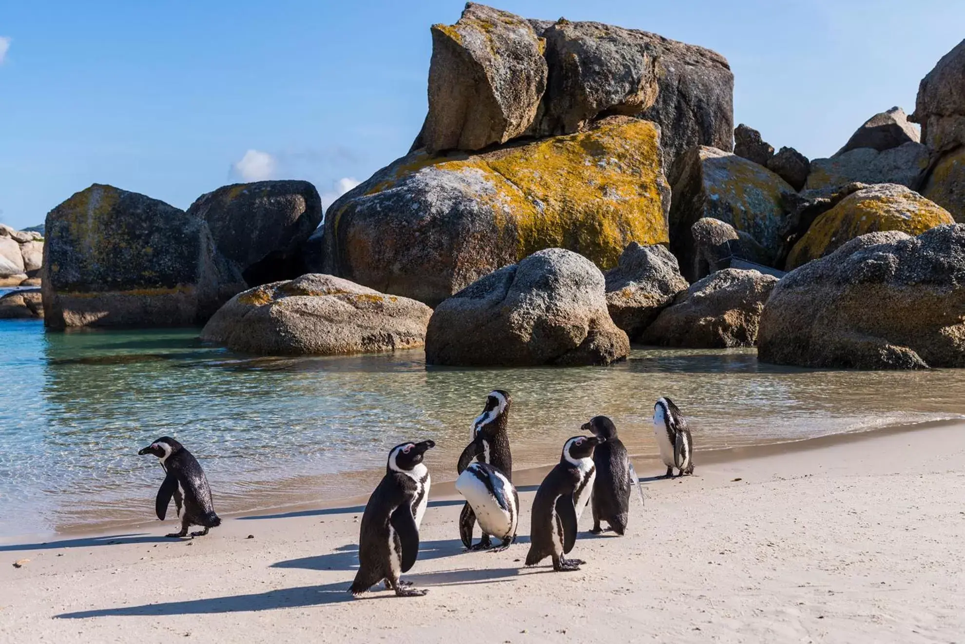 Nearby landmark, Beach in Simon's Town Quayside Hotel