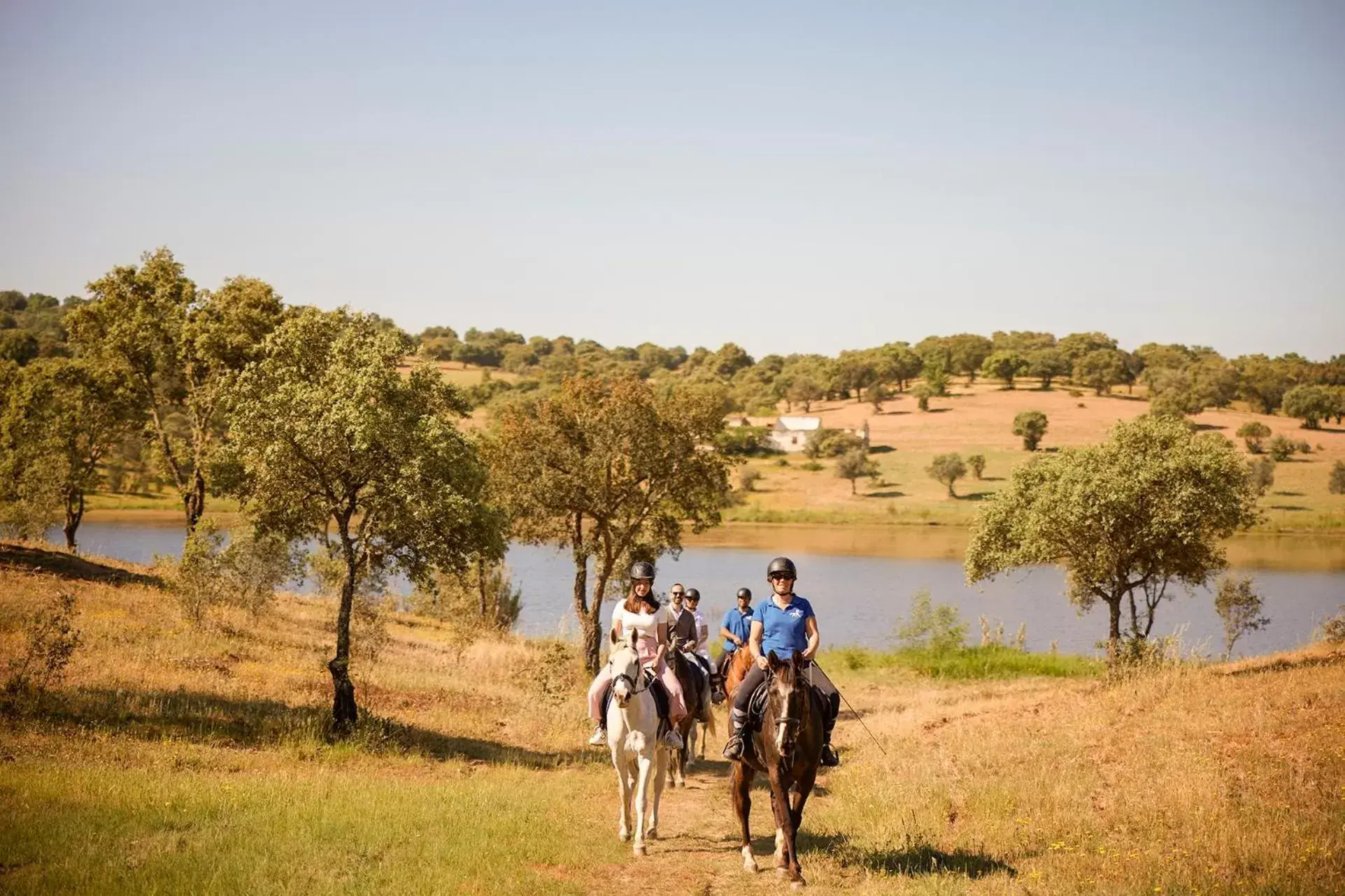 Natural landscape, Horseback Riding in Octant Evora