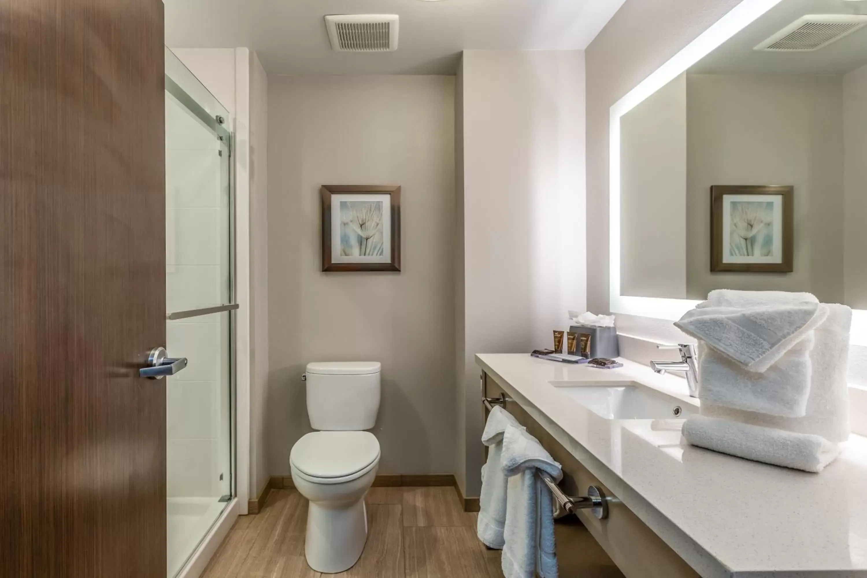 Toilet, Bathroom in Hawthorn Suites by Wyndham Loveland