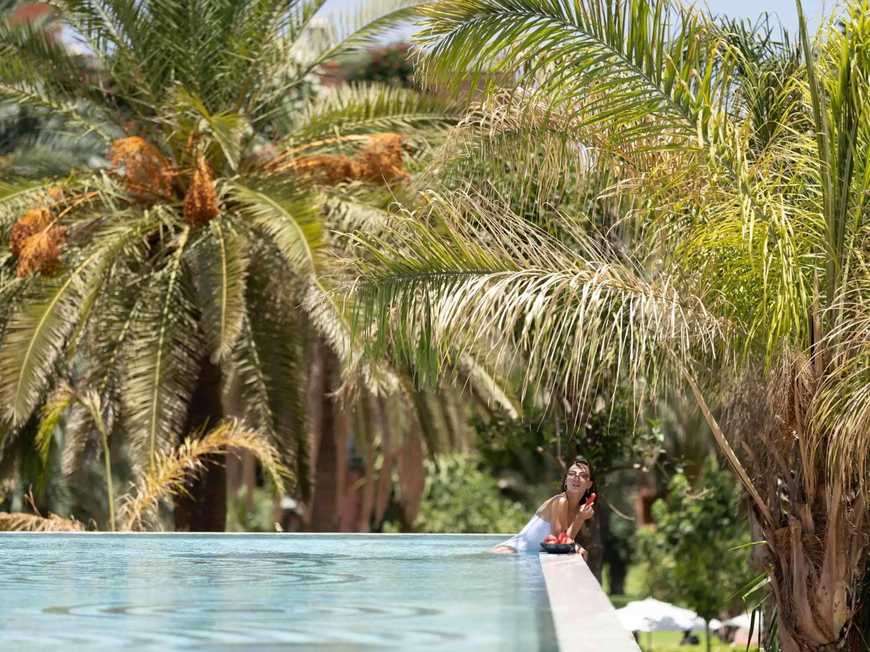 Pool view in Sofitel Marrakech Lounge and Spa Pool view in Sofitel Marrakech Lounge and Spa