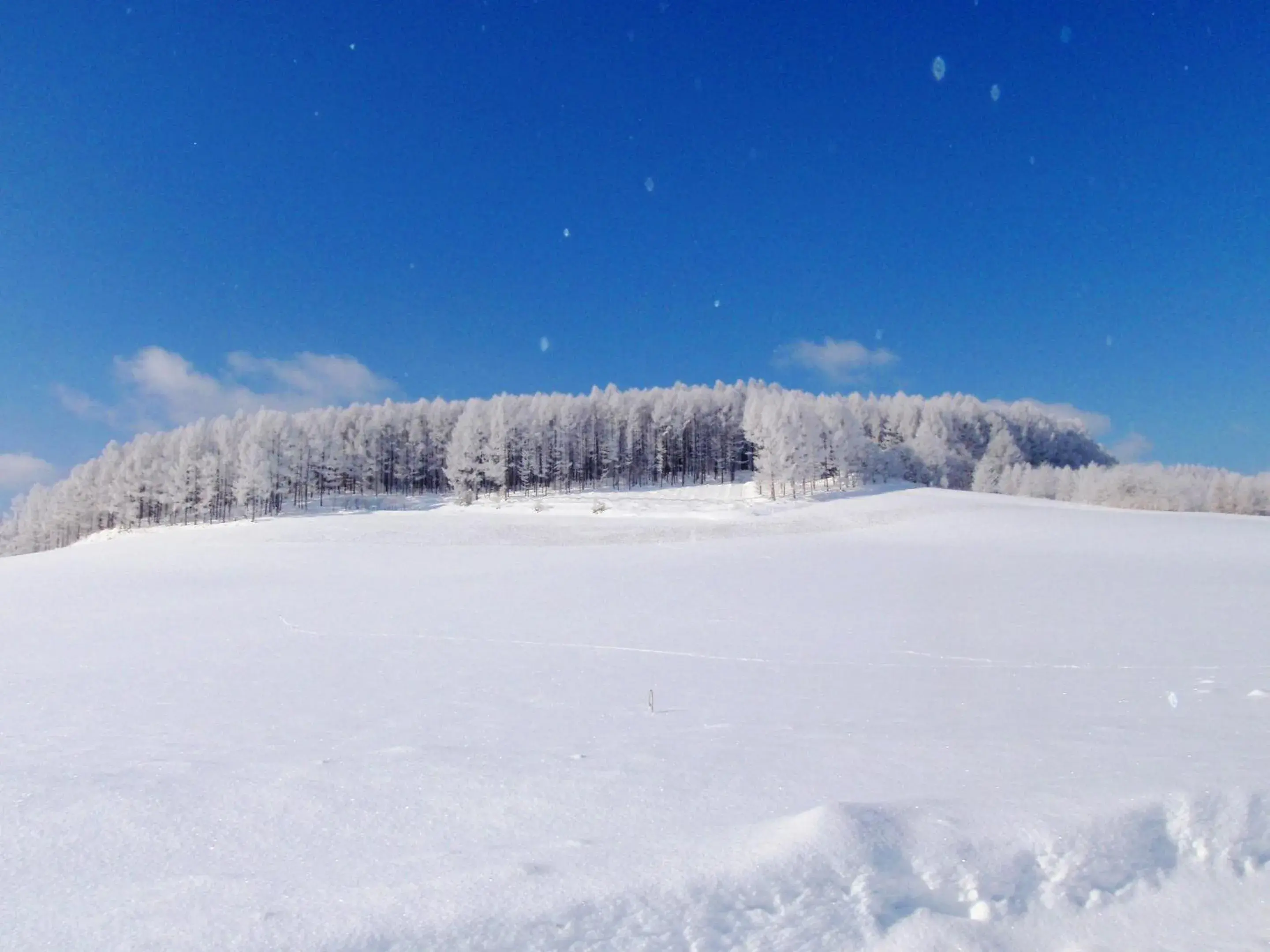 Nearby landmark, Winter in Pension Hoshi Ni Negaiwo