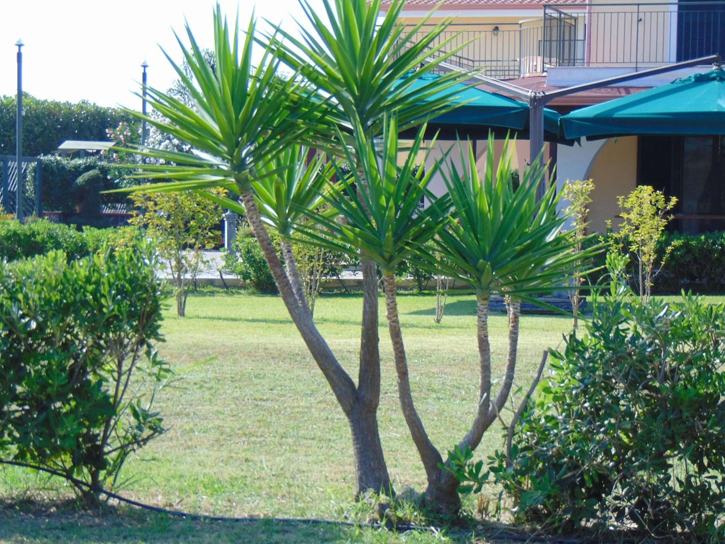 Garden in Villa Celeste B&B