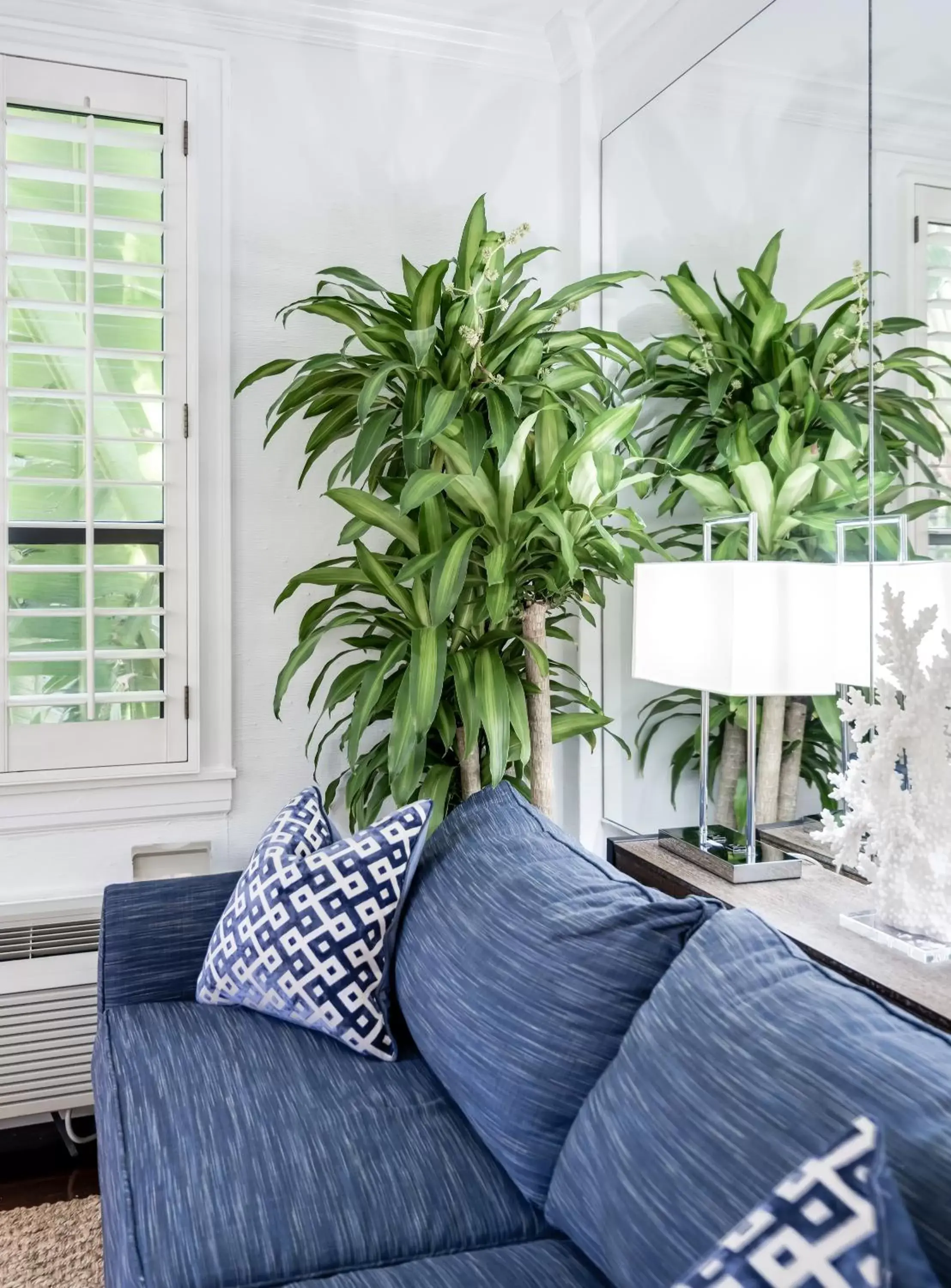 Living room in Tropicals of Palm Beach