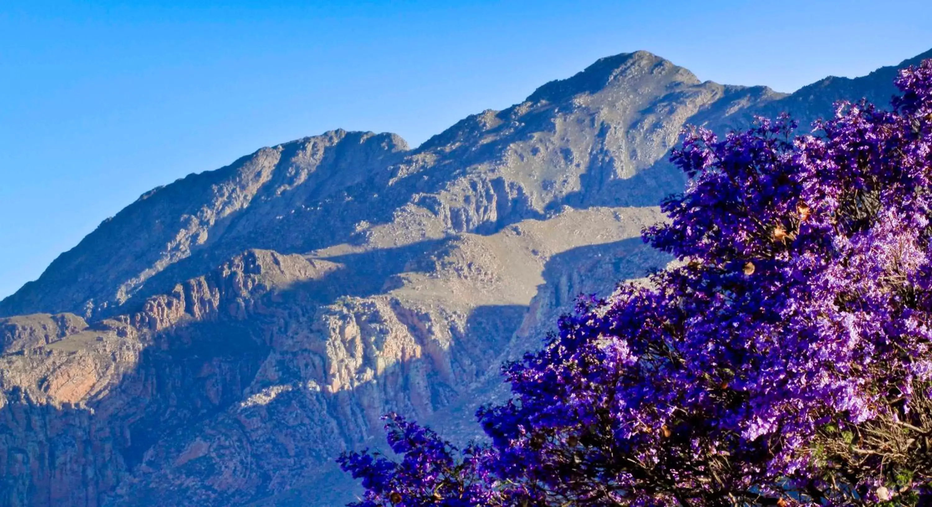 Natural landscape, Mountain View in Montagu Vines Guesthouse