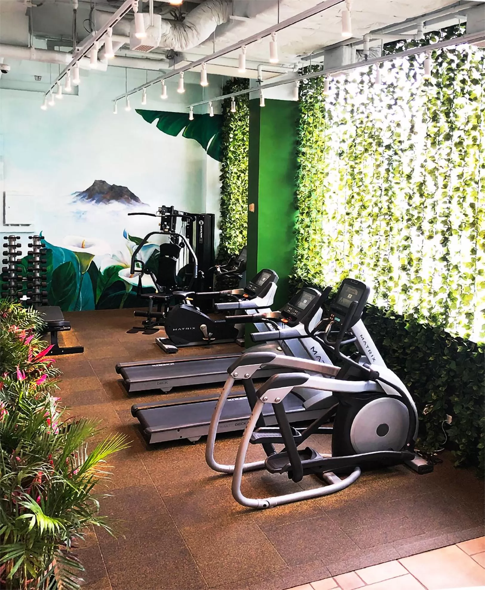 Fitness centre/facilities in Burlington Hotel
