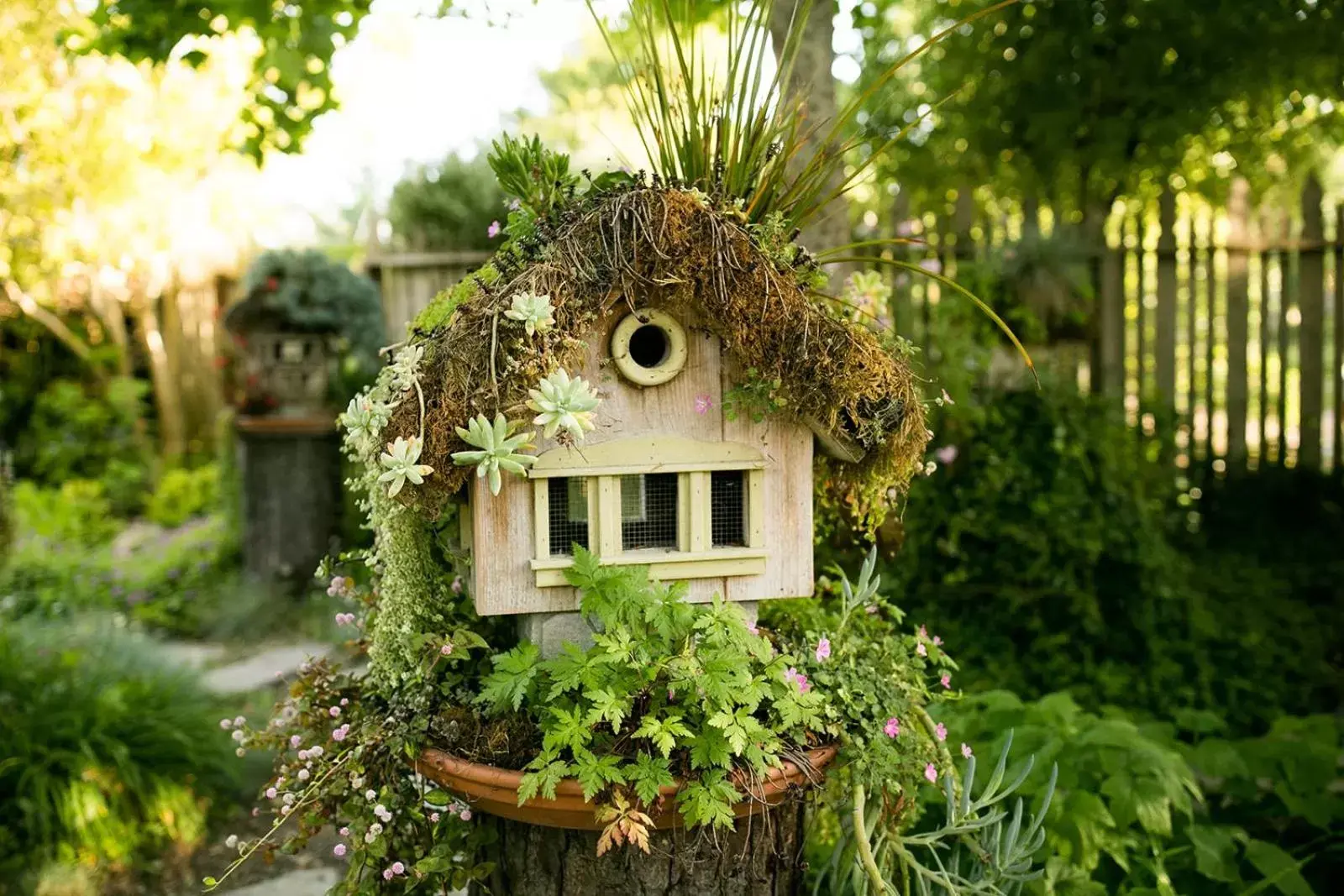 Garden, Property Building in Cambria Pines Lodge