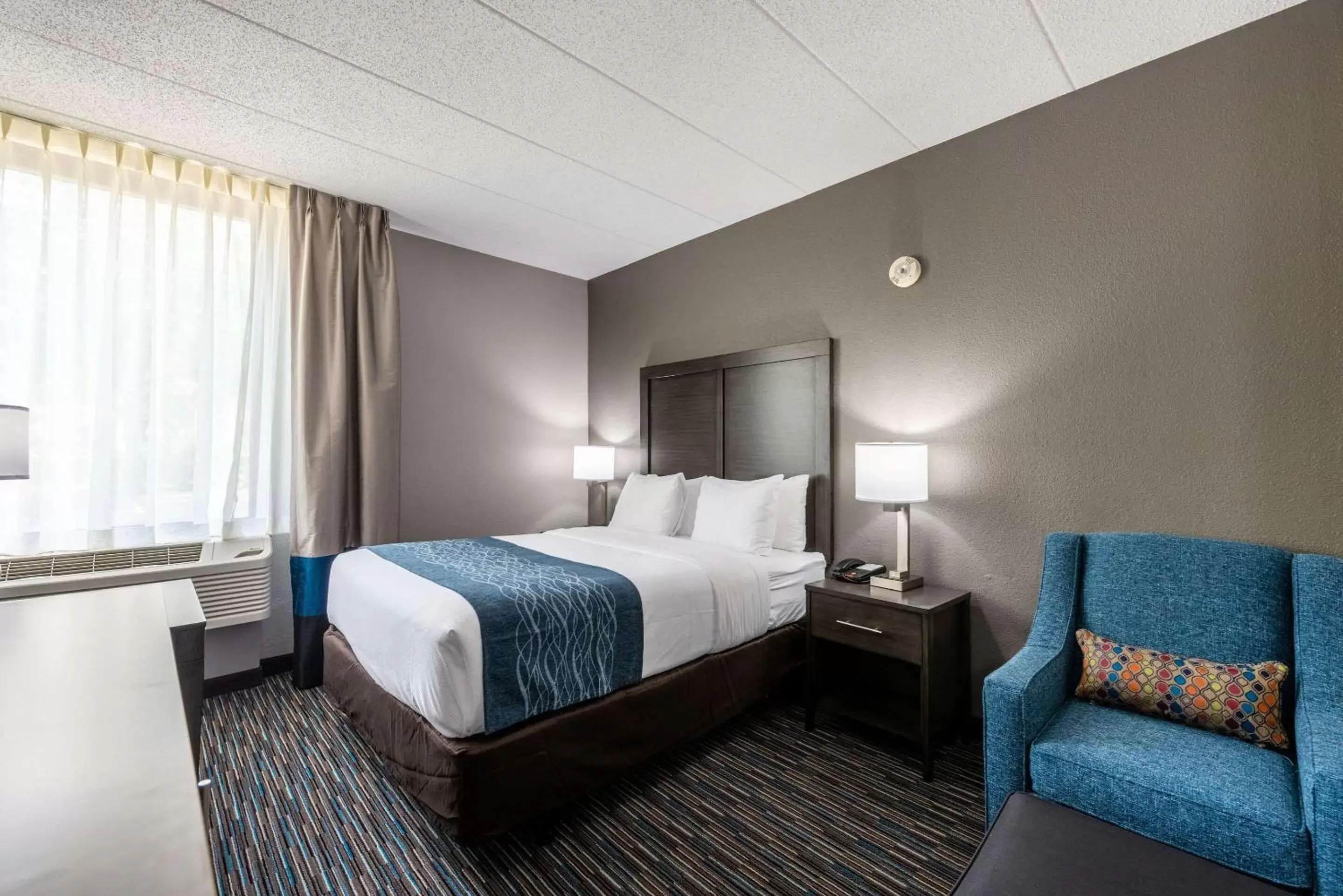 Bedroom, Bed in Comfort Inn Chicago Schaumburg - O'Hare Airport