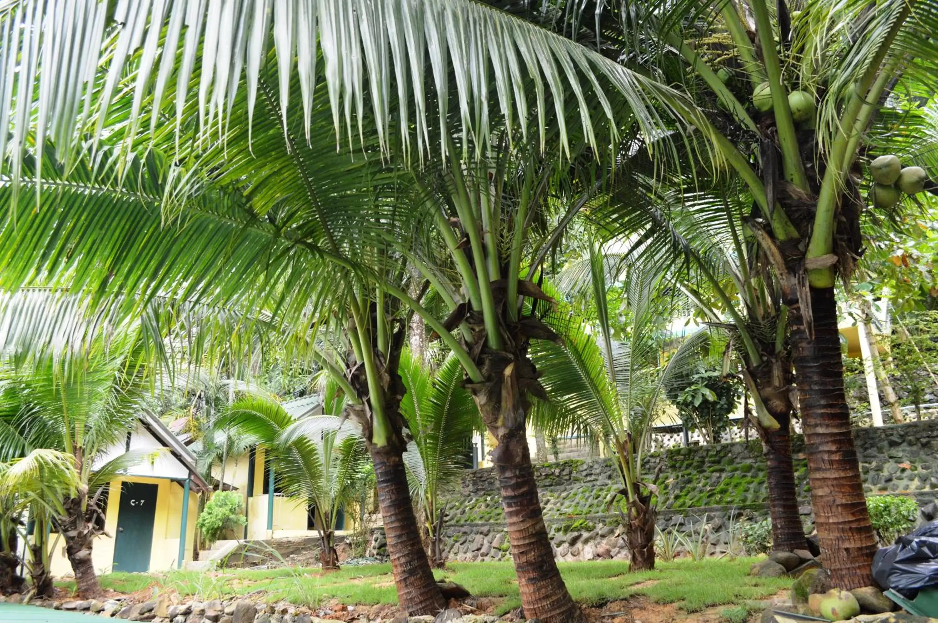 Garden view in Island Lodge