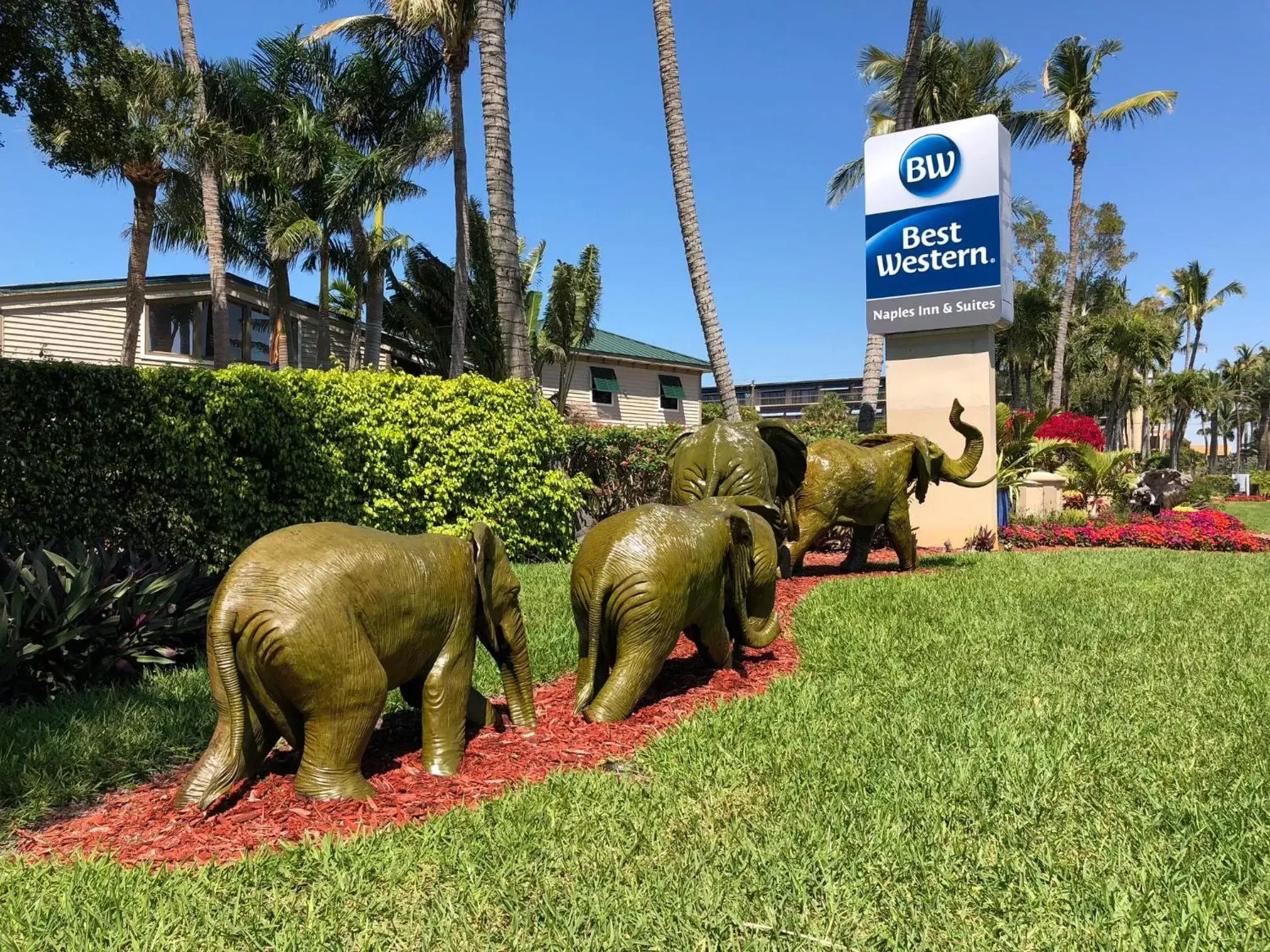 Facade/entrance, Other Animals in Best Western Naples Inn & Suites