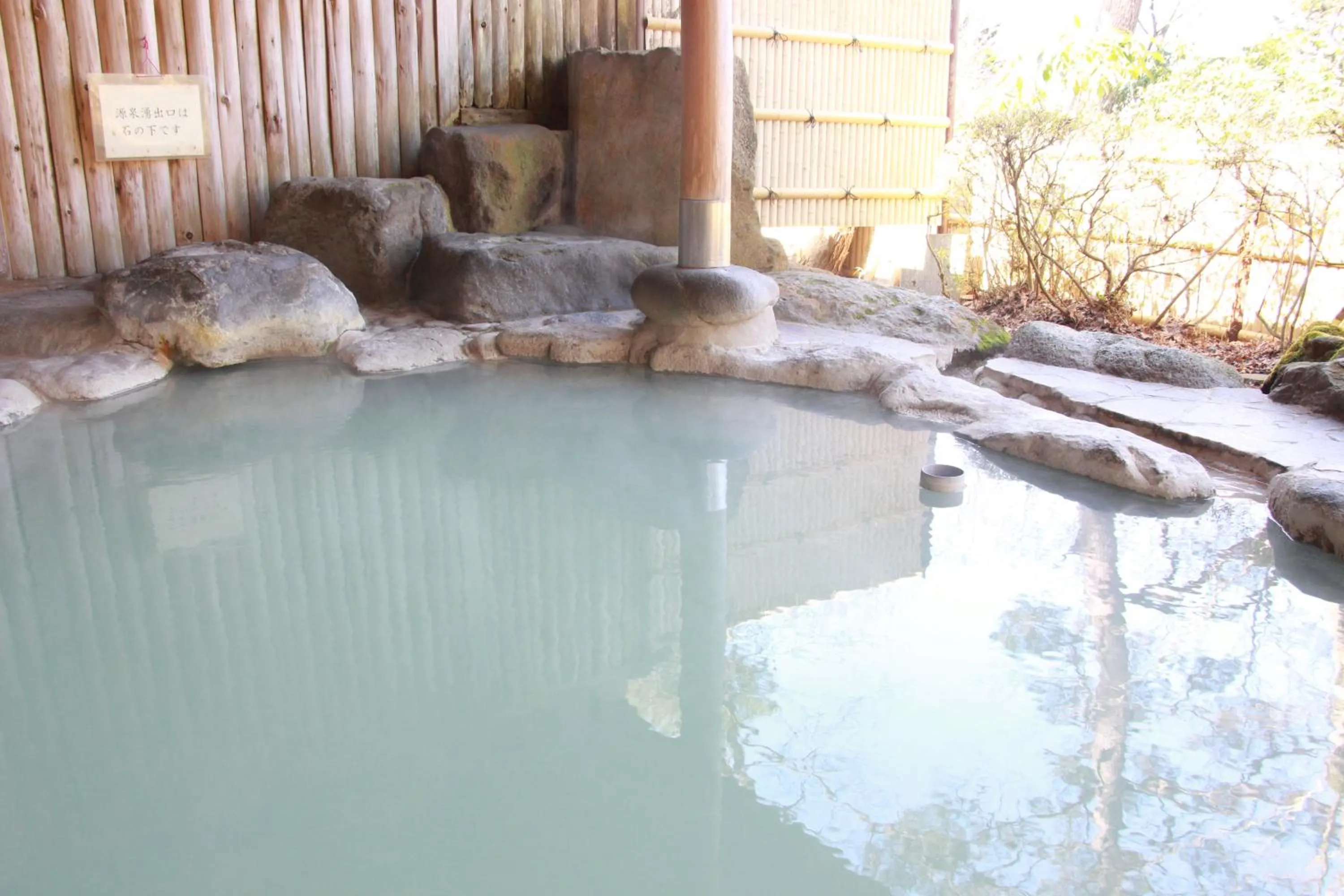 Hot Spring Bath in Senkyoro