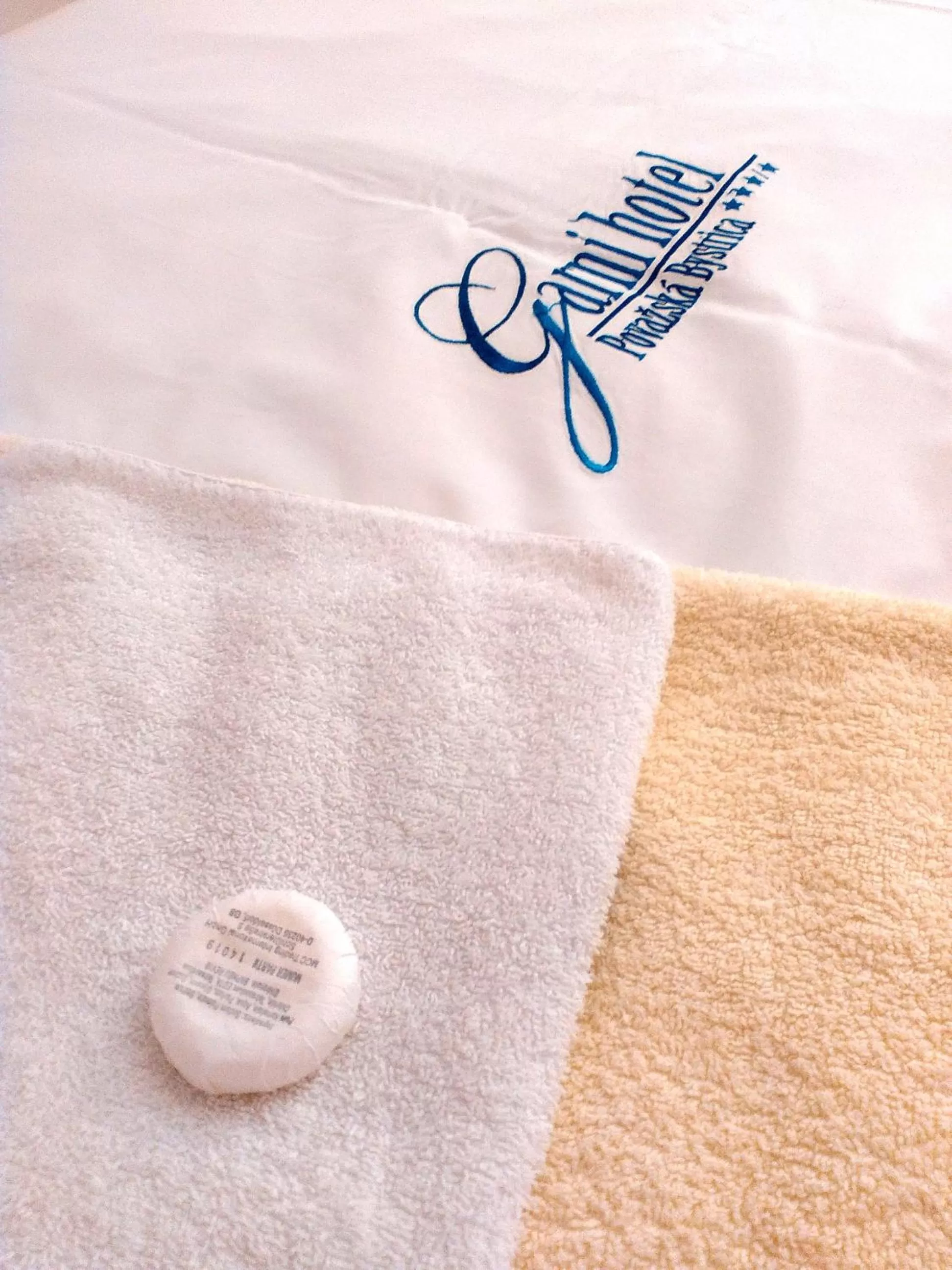 Property logo or sign in Hotel Garni