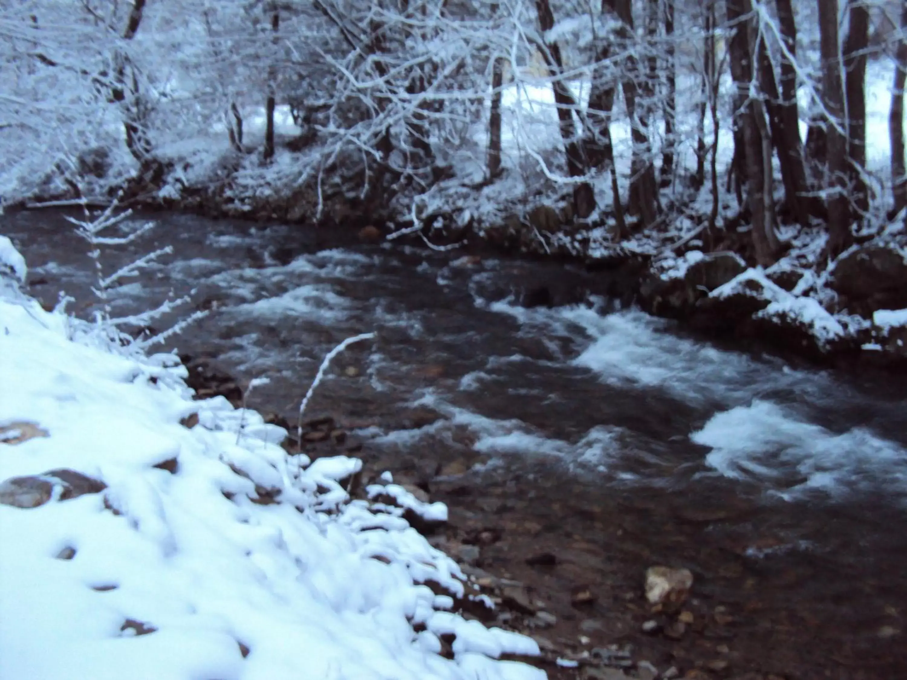 Winter in Five Star Inn - Maggie Valley