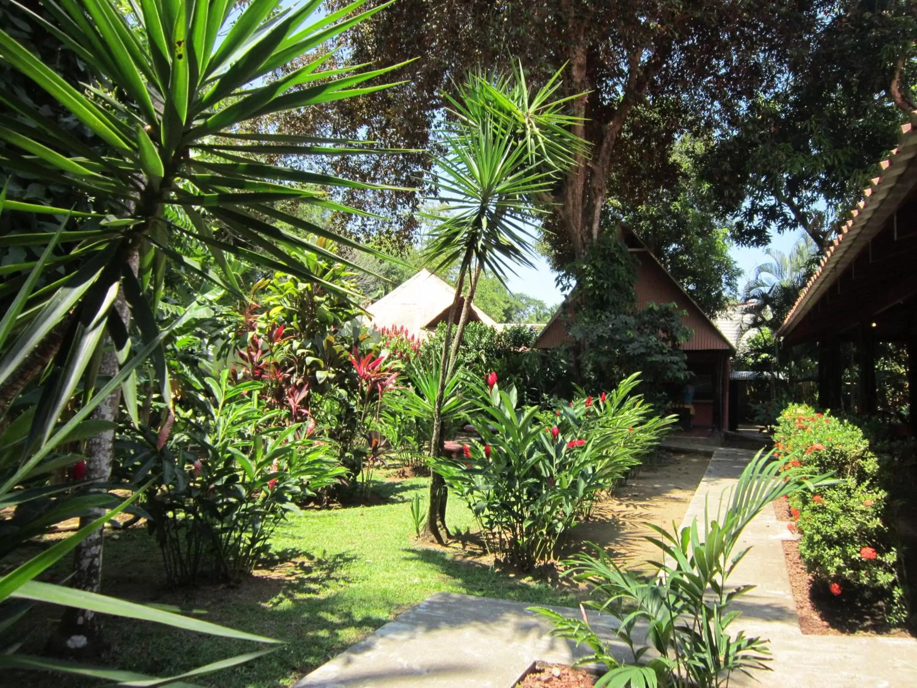 Communal lounge/ TV room, Garden in Hotel El Paraiso Escondido - Costa Rica