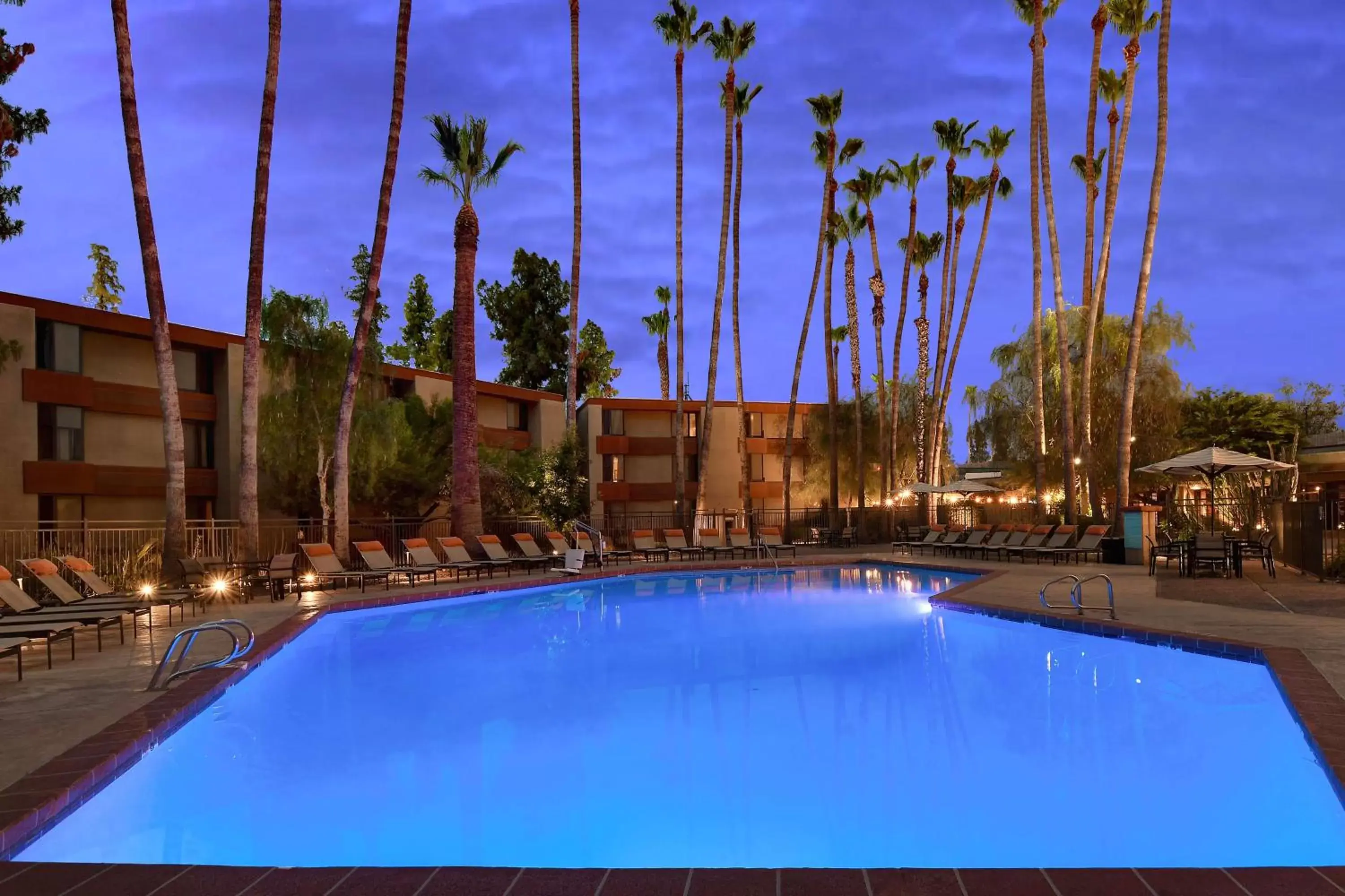 Patio, Swimming Pool in DoubleTree by Hilton Phoenix- Tempe